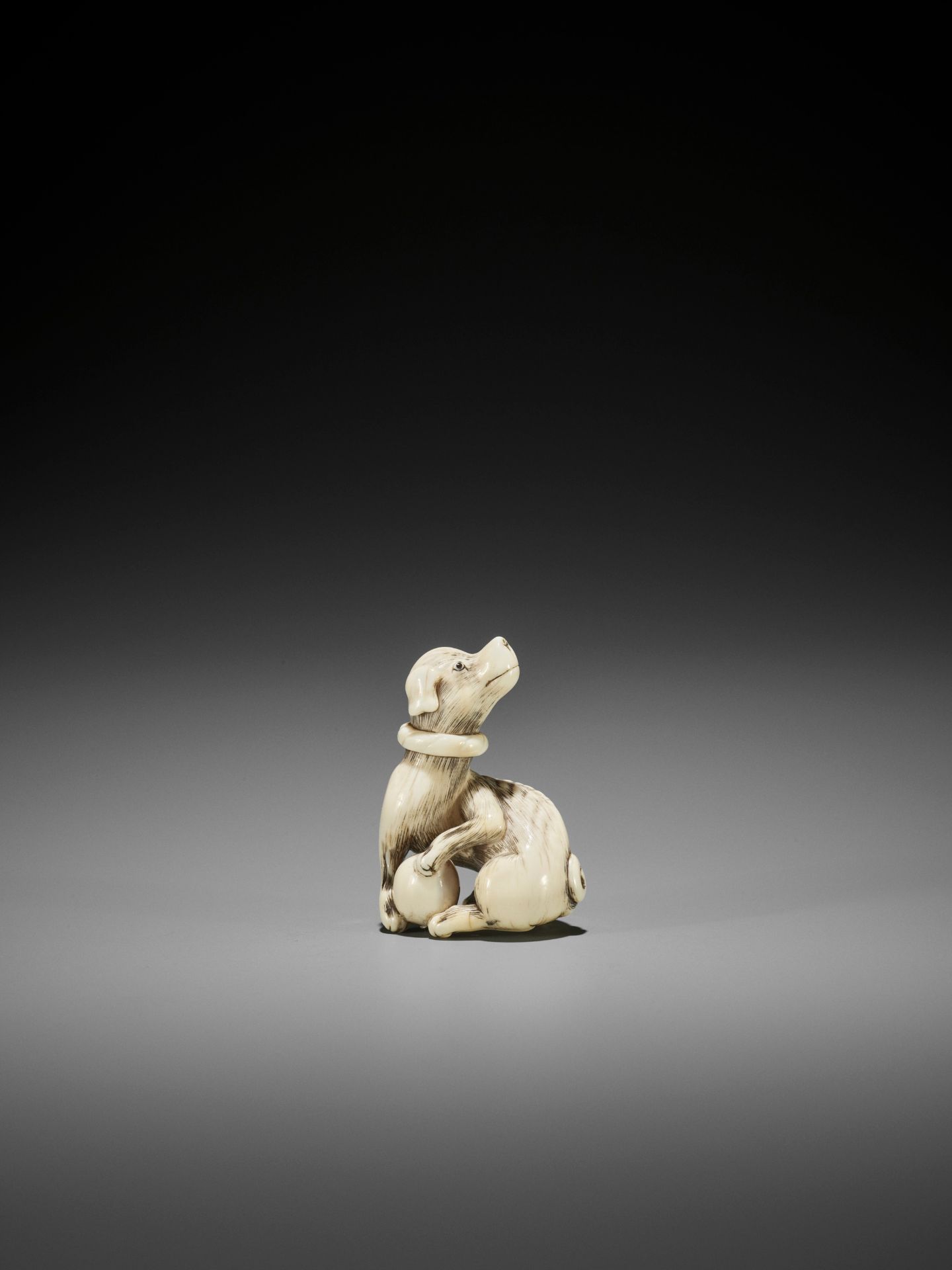 AN IVORY NETSUKE OF A DOG WITH BALL, ATTRIBUTED TO MITSUHARU - Image 5 of 14