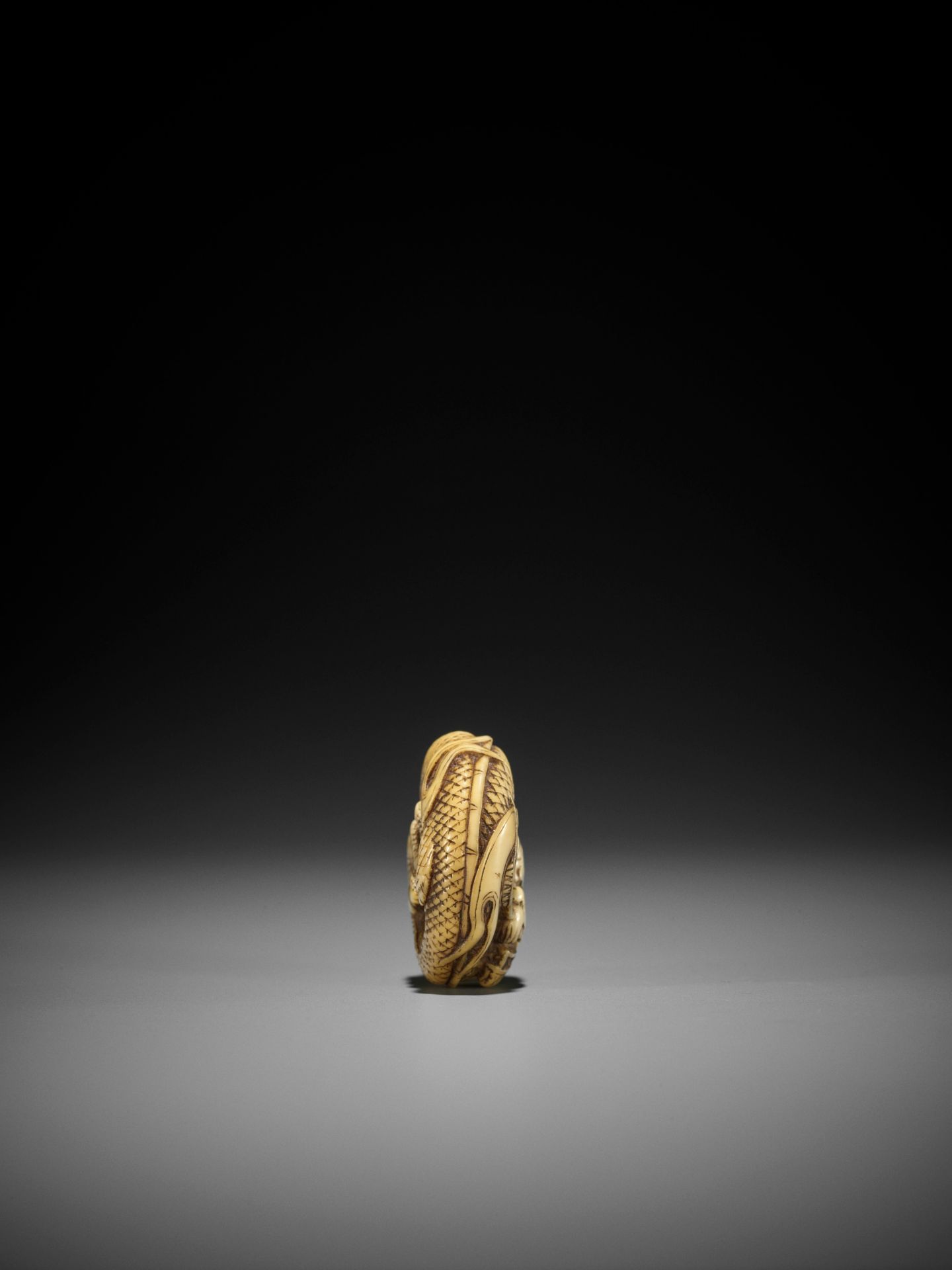 A FINE WALRUS TOOTH MANJU NETSUKE OF A COILED DRAGON - Bild 7 aus 8