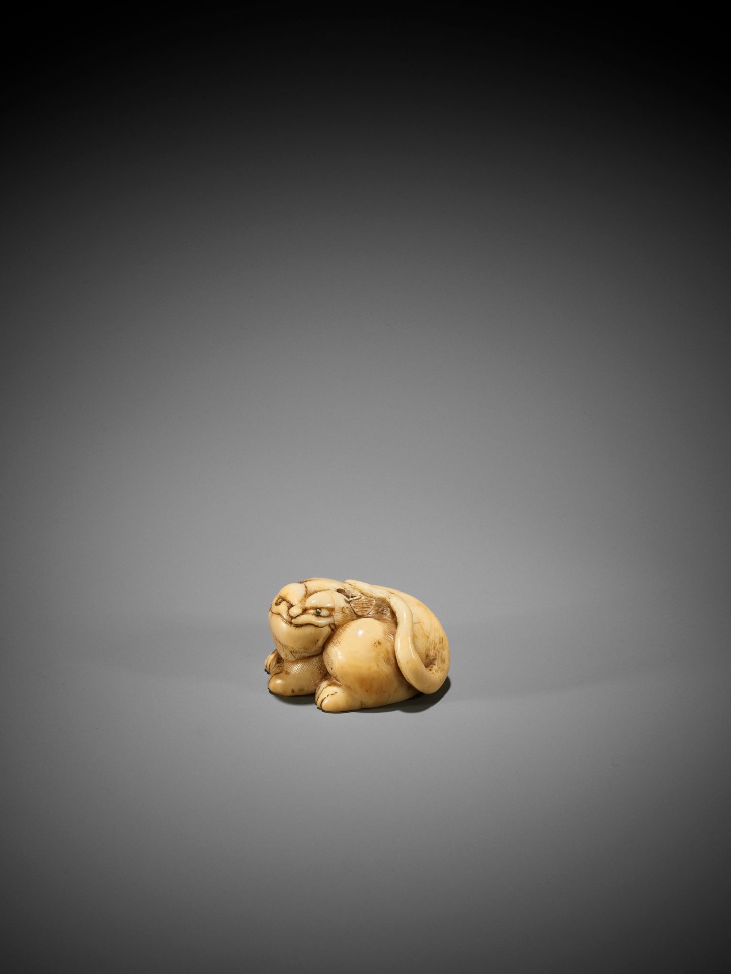 A RARE IVORY ASHTRAY NETSUKE OF A TIGER - Image 4 of 8