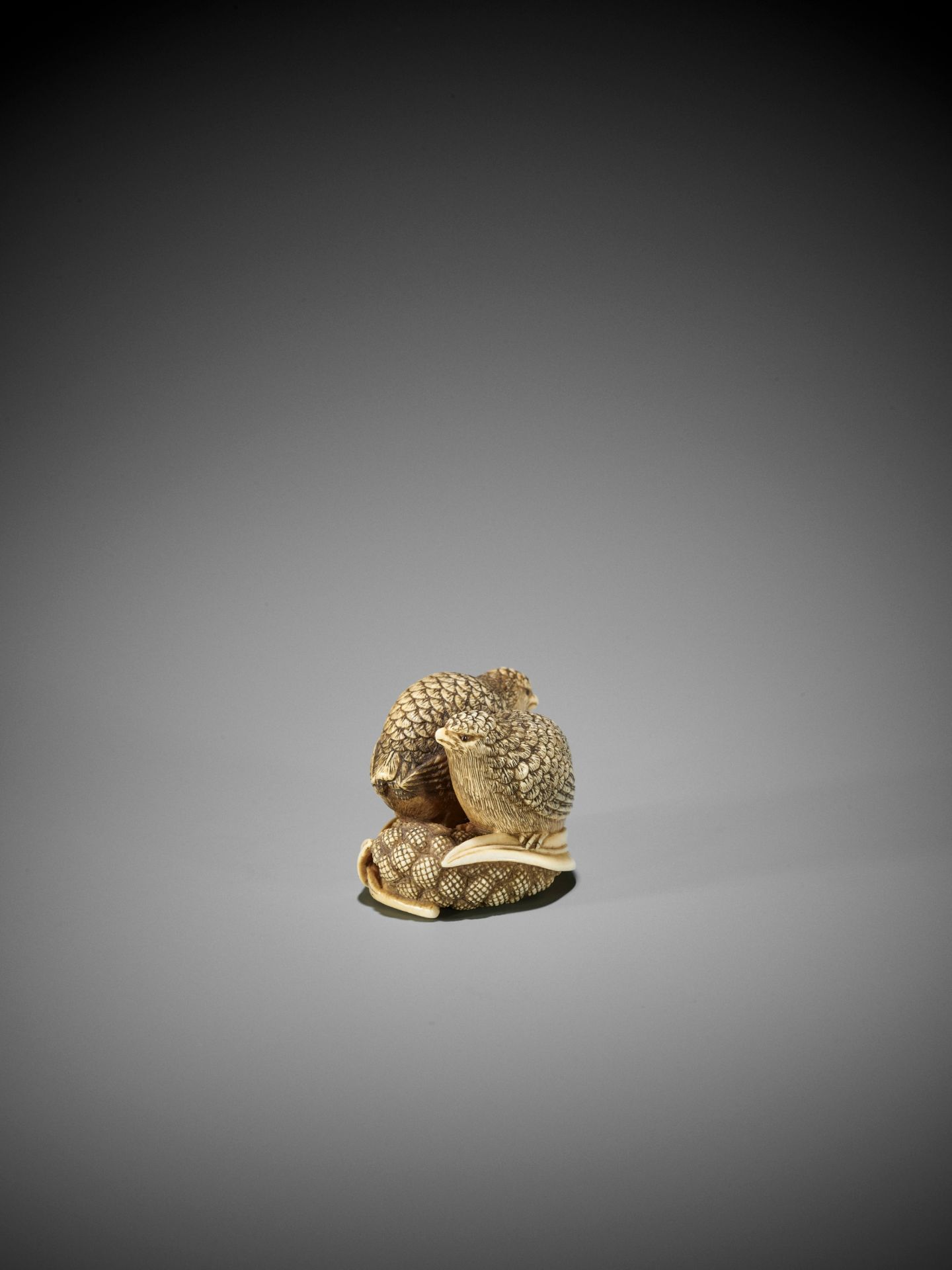 OKATOMO: AN IVORY NETSUKE OF TWO QUAILS ON MILLET - Image 2 of 9