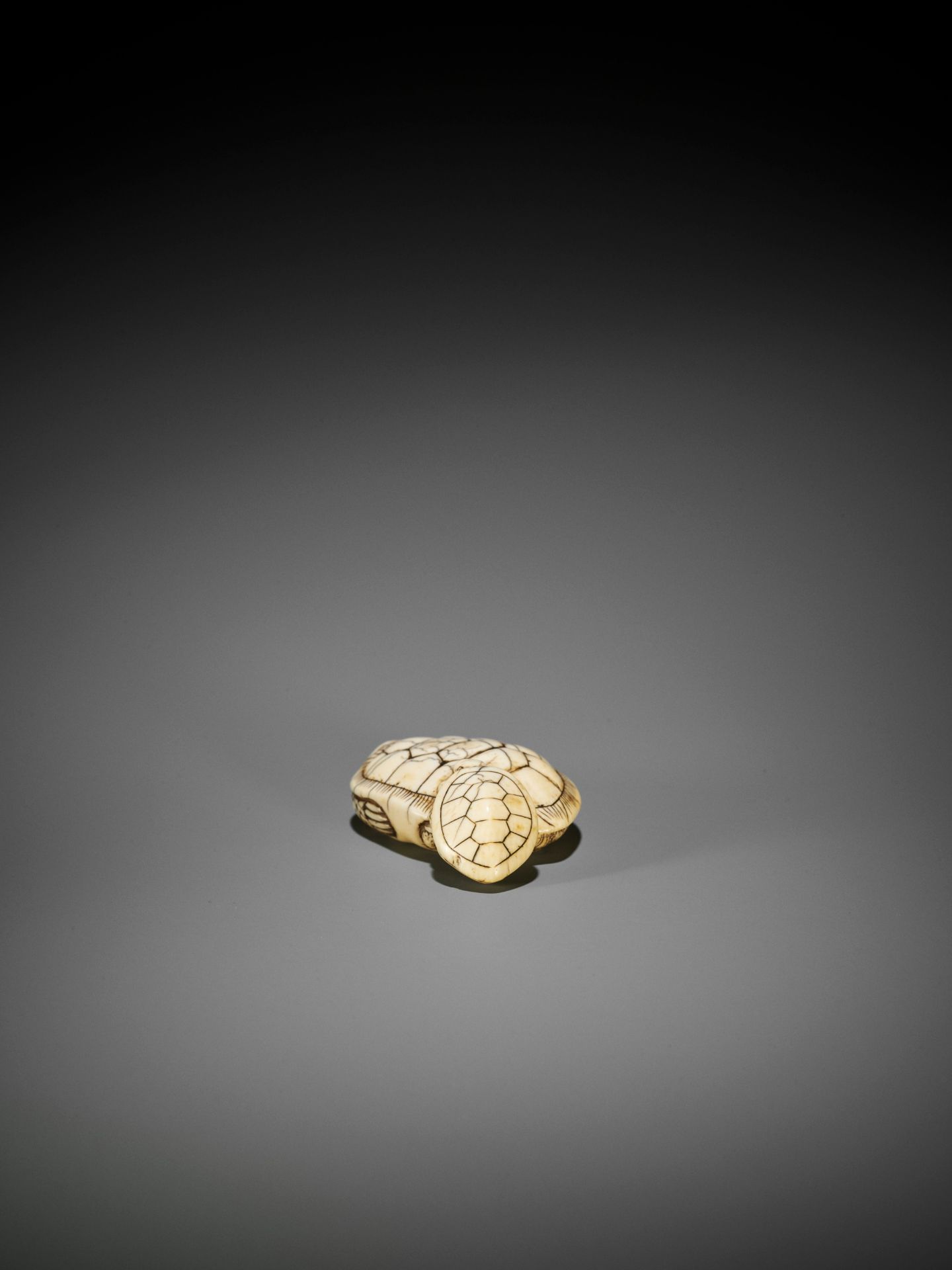 AN OLD IVORY NETSUKE OF A TURTLE WITH YOUNG - Bild 8 aus 10