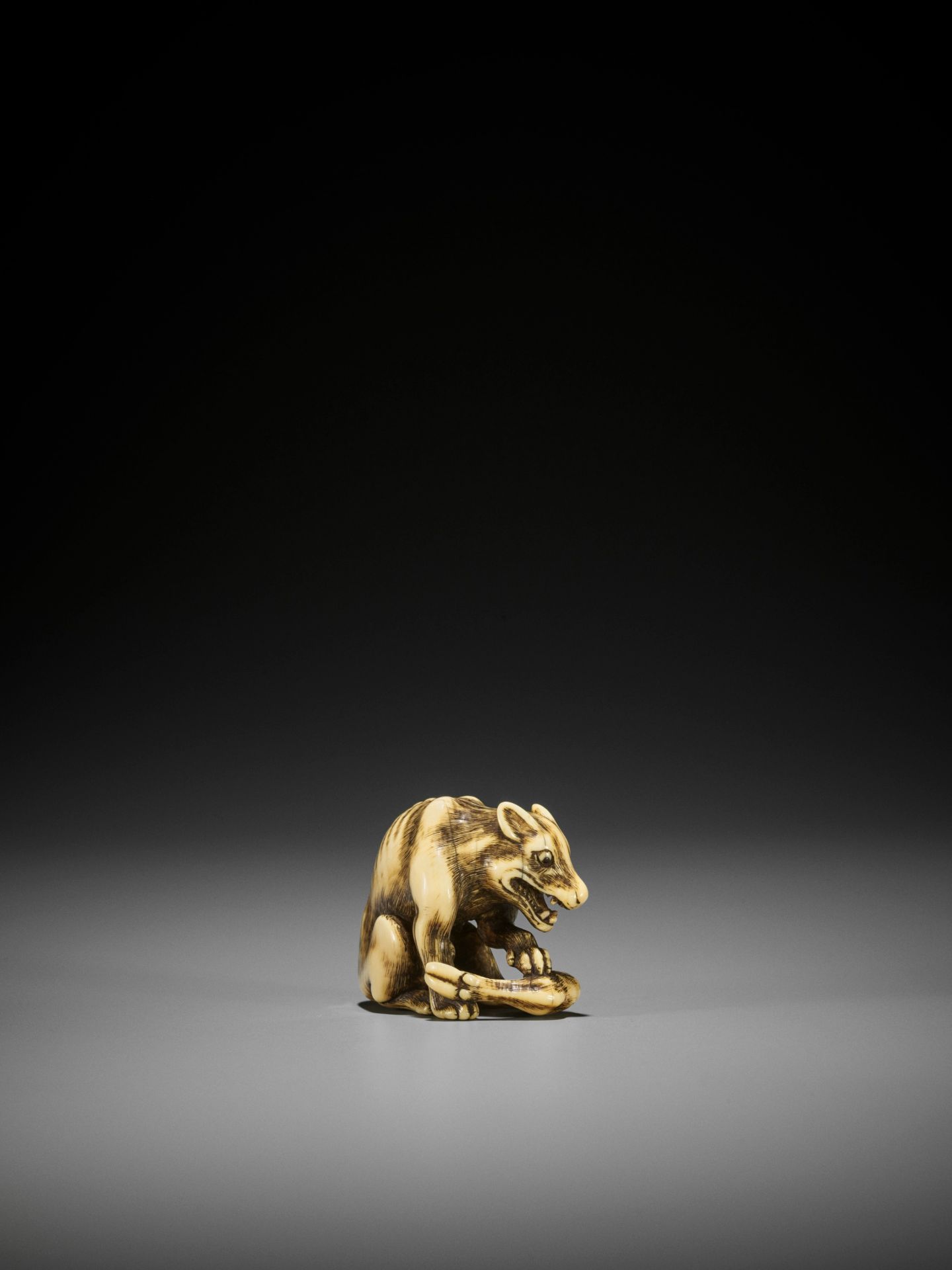 TOMOTADA: A FINE IVORY NETSUKE OF A WOLF WITH HAUNCH OF VENISON - Image 9 of 18