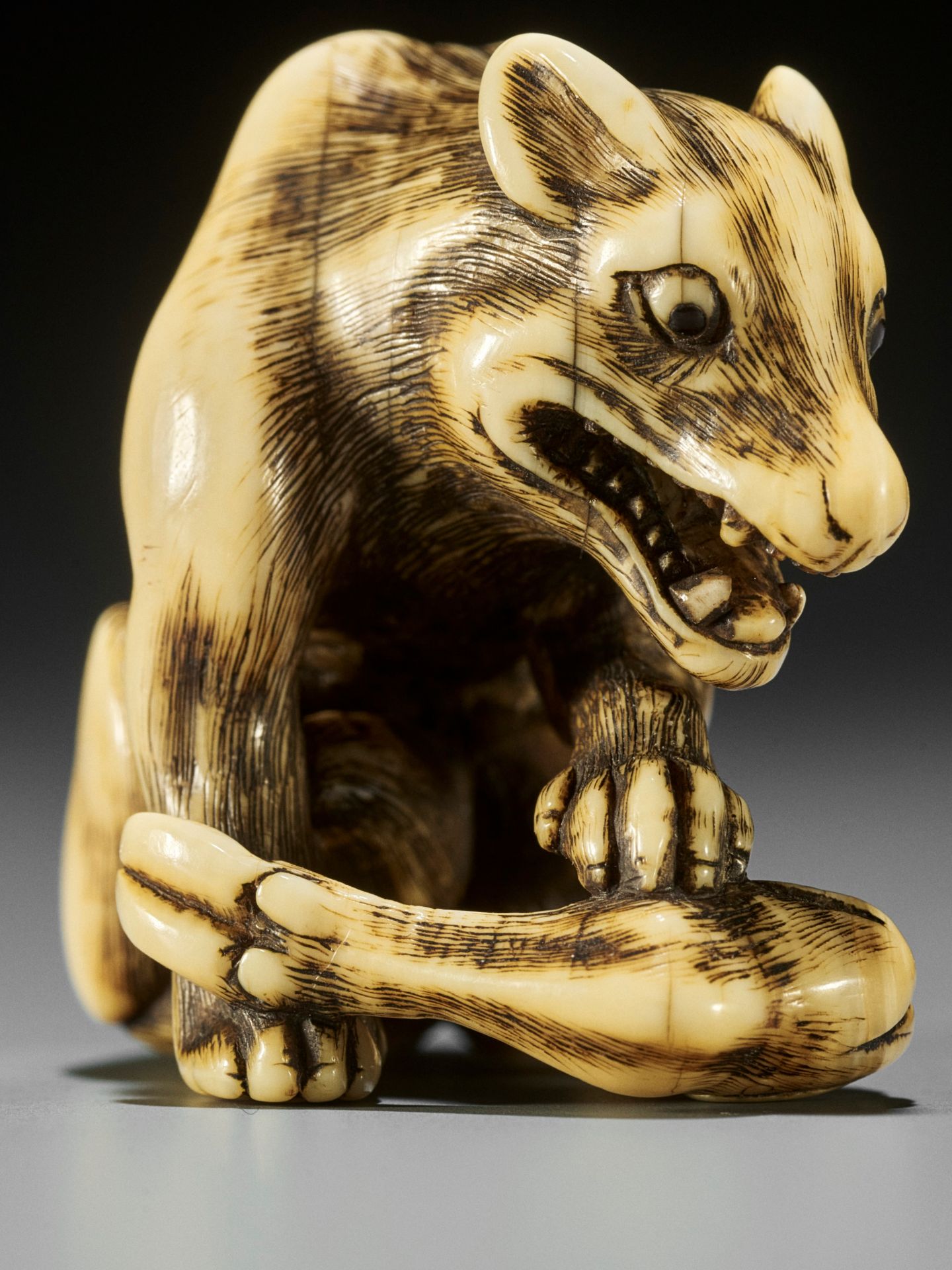 TOMOTADA: A FINE IVORY NETSUKE OF A WOLF WITH HAUNCH OF VENISON - Image 2 of 18