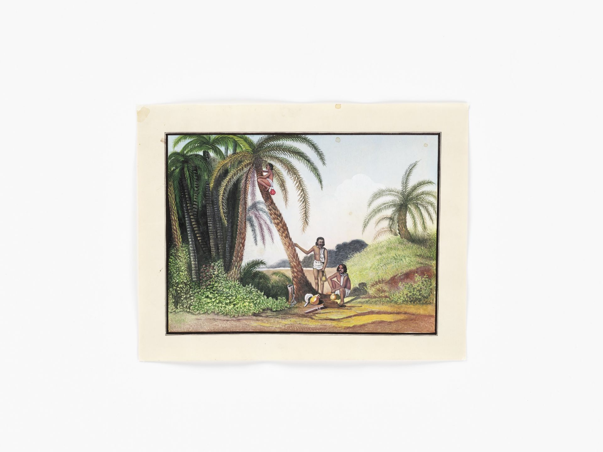 A SET OF 14 INDIAN COMPANY SCHOOL PAINTINGS - Image 16 of 29