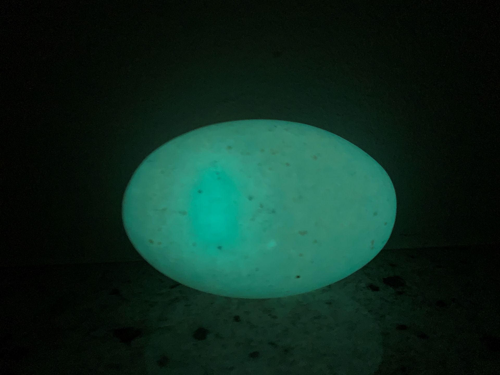 A MOONSHINE STONE 'EGG' GLOWING IN THE DARK - Image 2 of 7