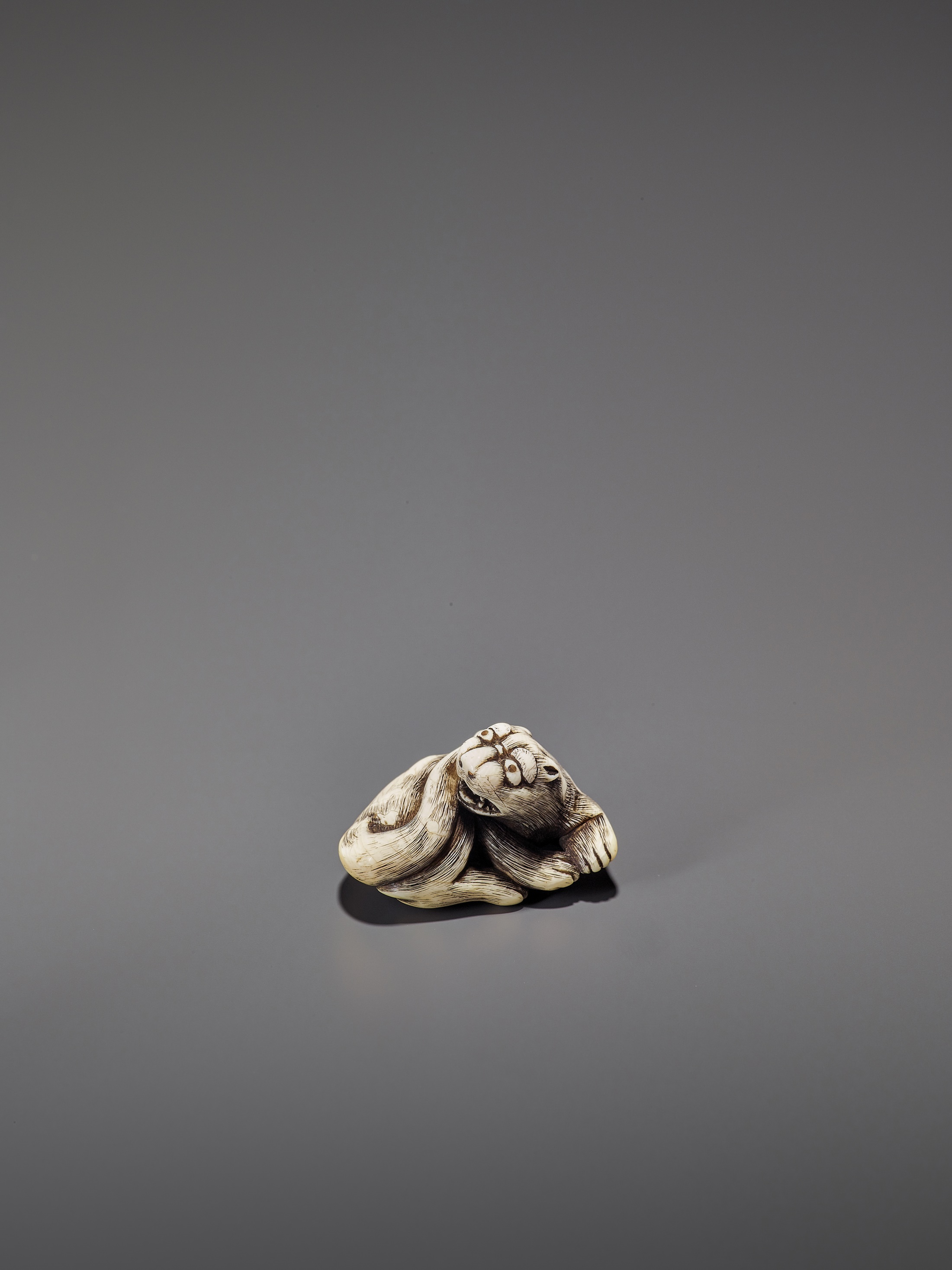 AN IVORY OSAKA STYLE NETSUKE OF A RECLINING TIGER