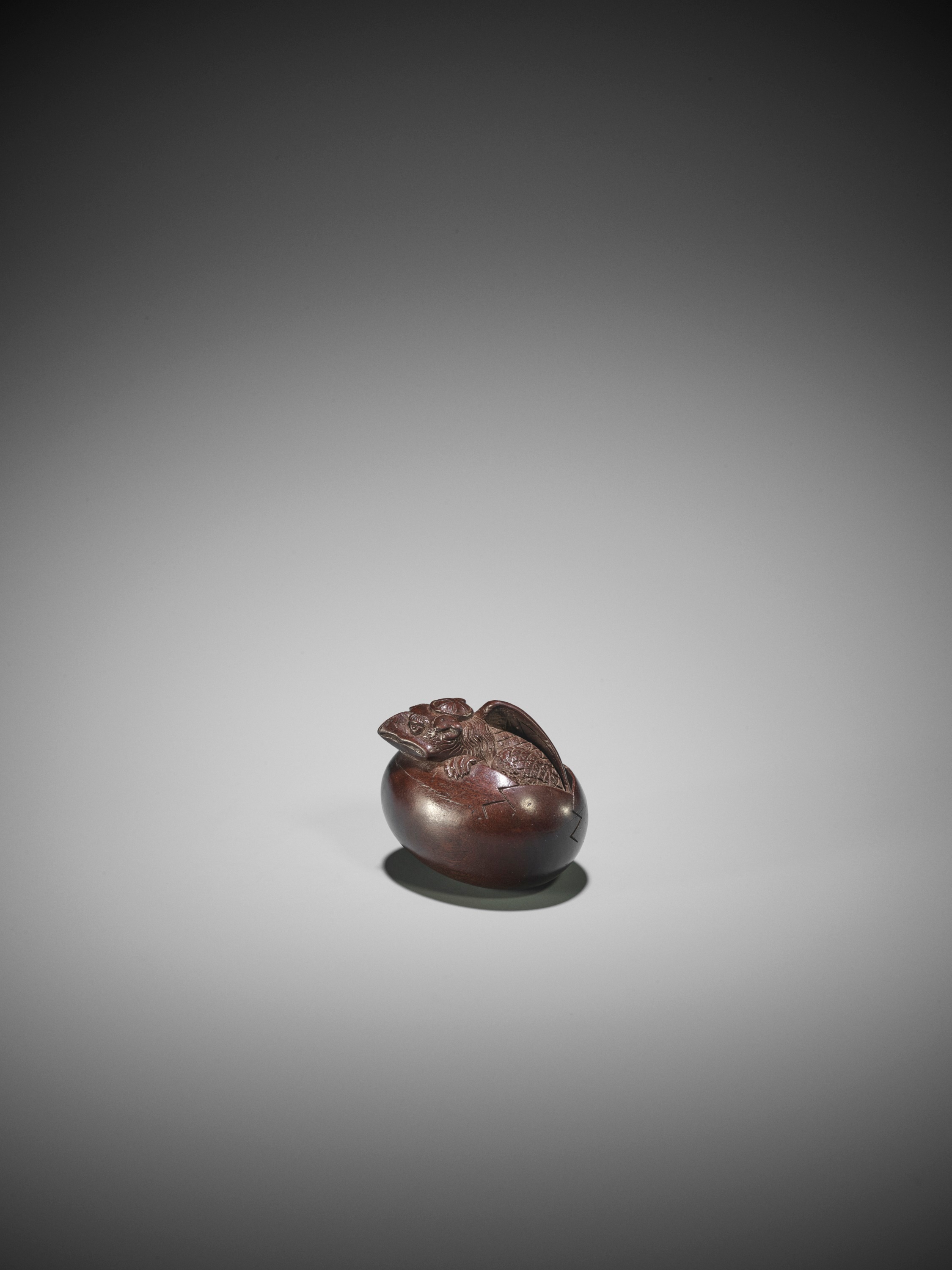 DEME MASAHIDE: A WOOD NETSUKE OF A HATCHING TENGU (TENGU NO TOMAGO) - Image 3 of 3