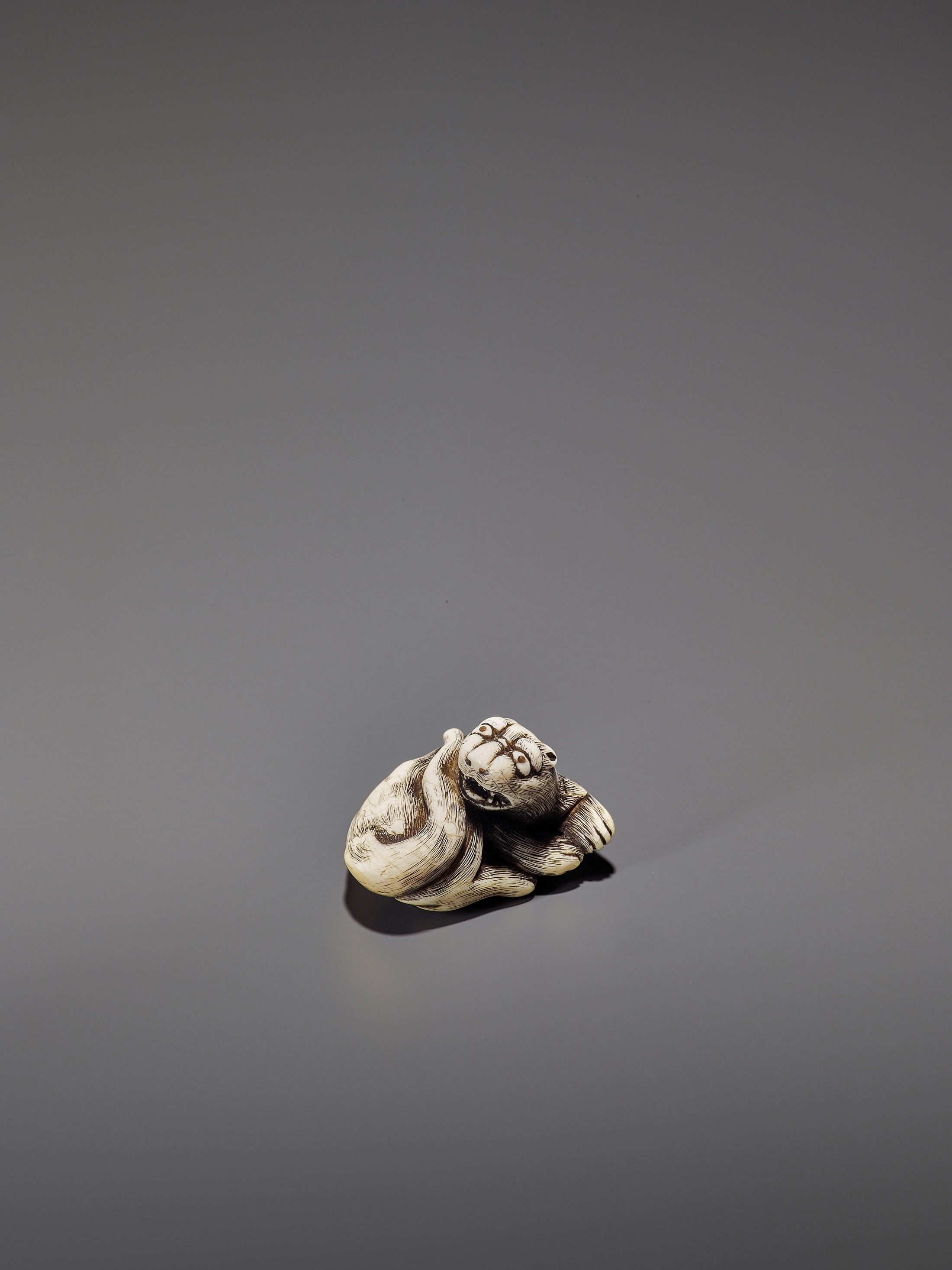 AN IVORY OSAKA STYLE NETSUKE OF A RECLINING TIGER - Image 3 of 3