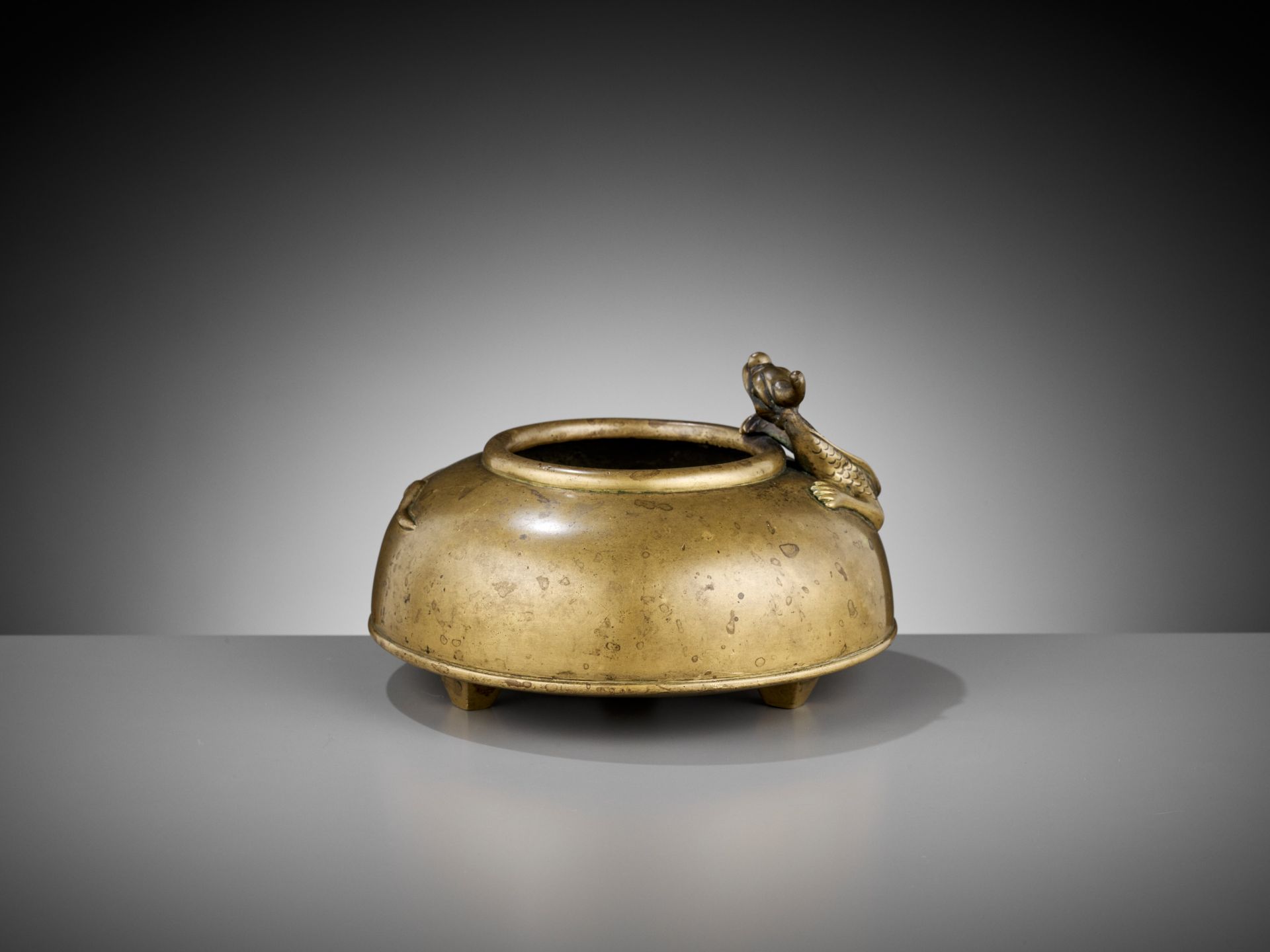 A BRONZE 'CHILONG' BEEHIVE WATERPOT, TAIBAI ZUN, QING DYNASTY - Image 9 of 12