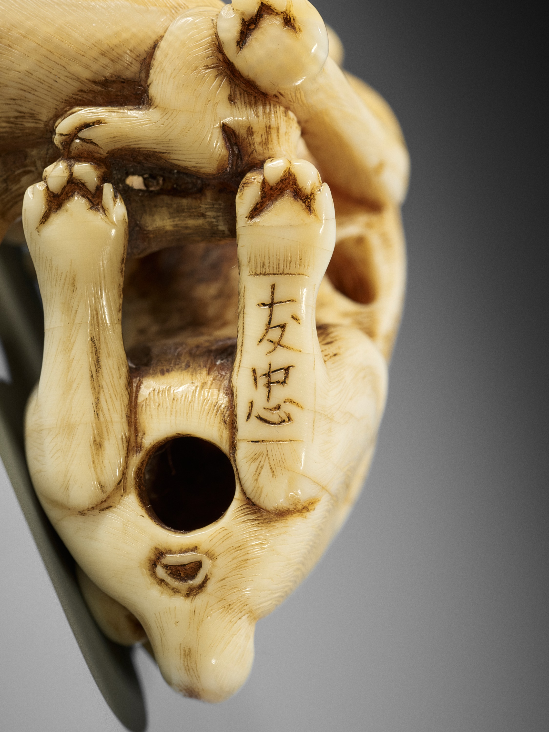 TOMOTADA: A FINE IVORY NETSUKE OF A BITCH AND PUP - Image 10 of 12