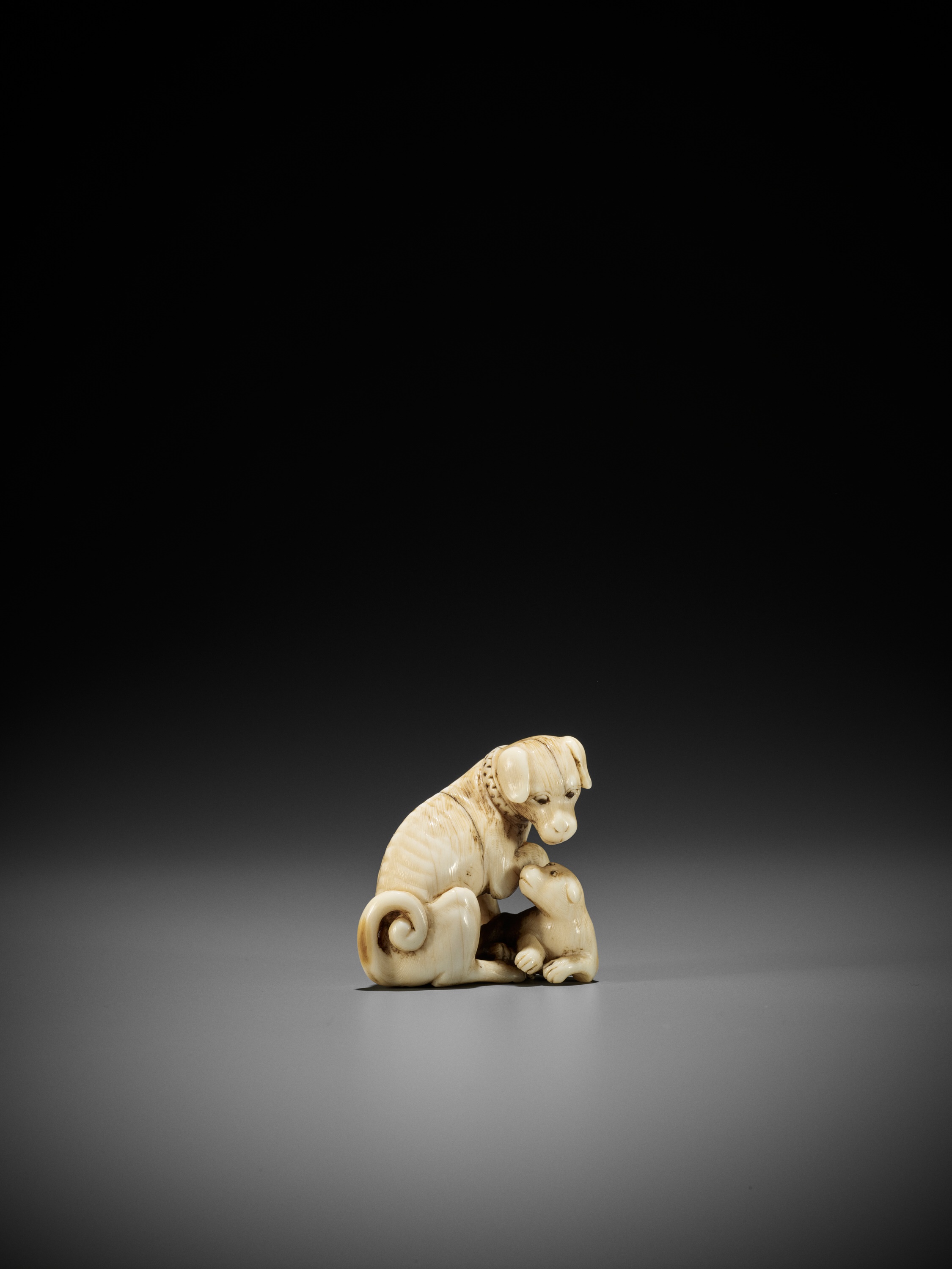 TOMOTADA: A FINE IVORY NETSUKE OF A BITCH AND PUP - Image 2 of 12