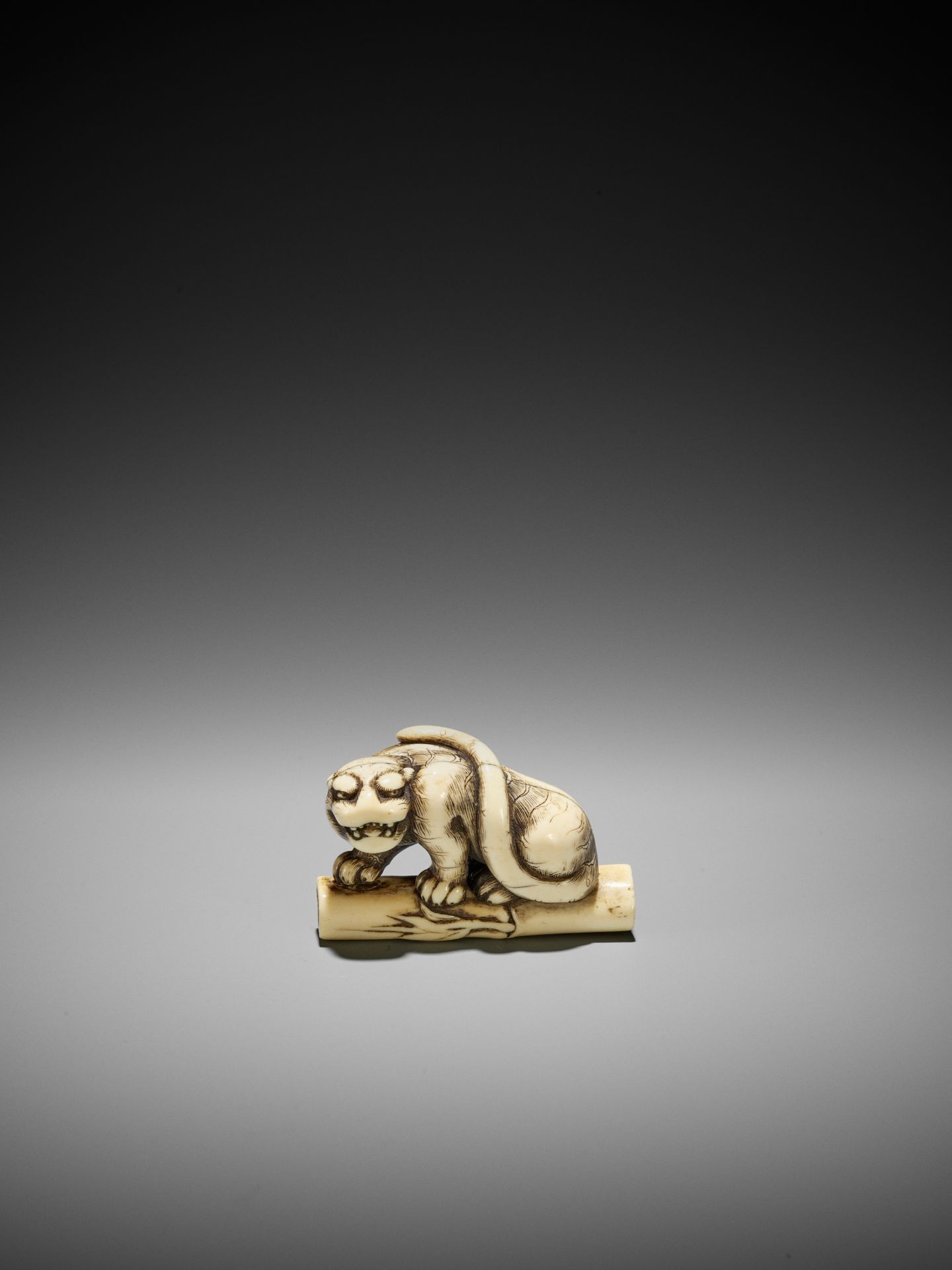 A POWERFUL KYOTO SCHOOL IVORY NETSUKE OF A TIGER ON BAMBOO - Image 4 of 13