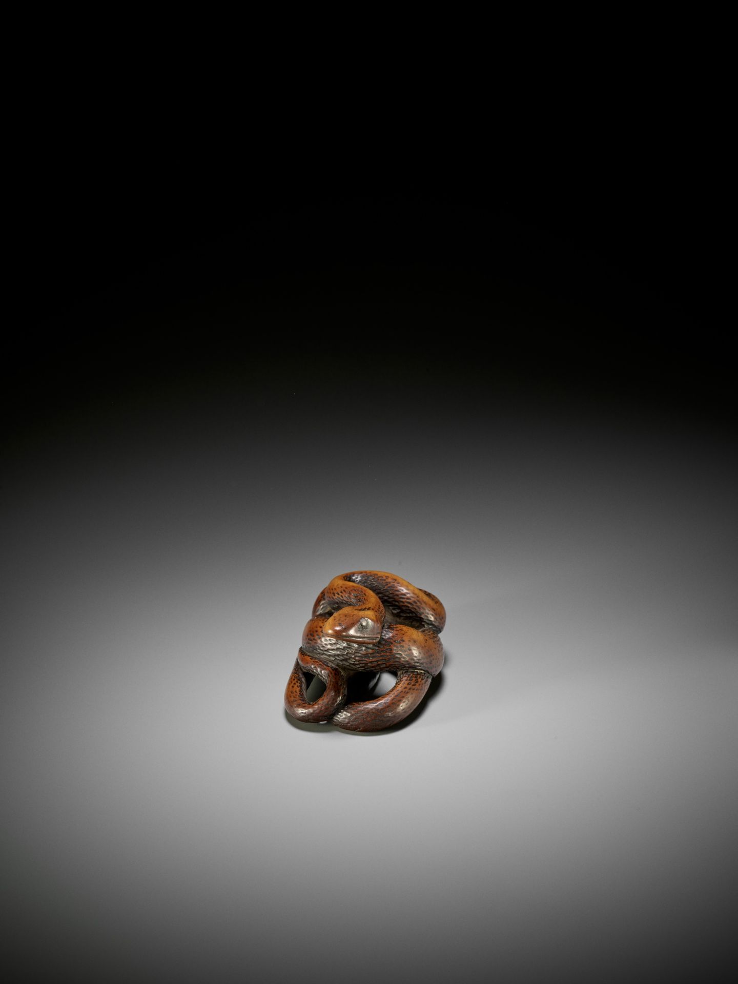A LARGE AND POWERFUL WOOD NETSUKE OF A COILED SNAKE - Image 6 of 10