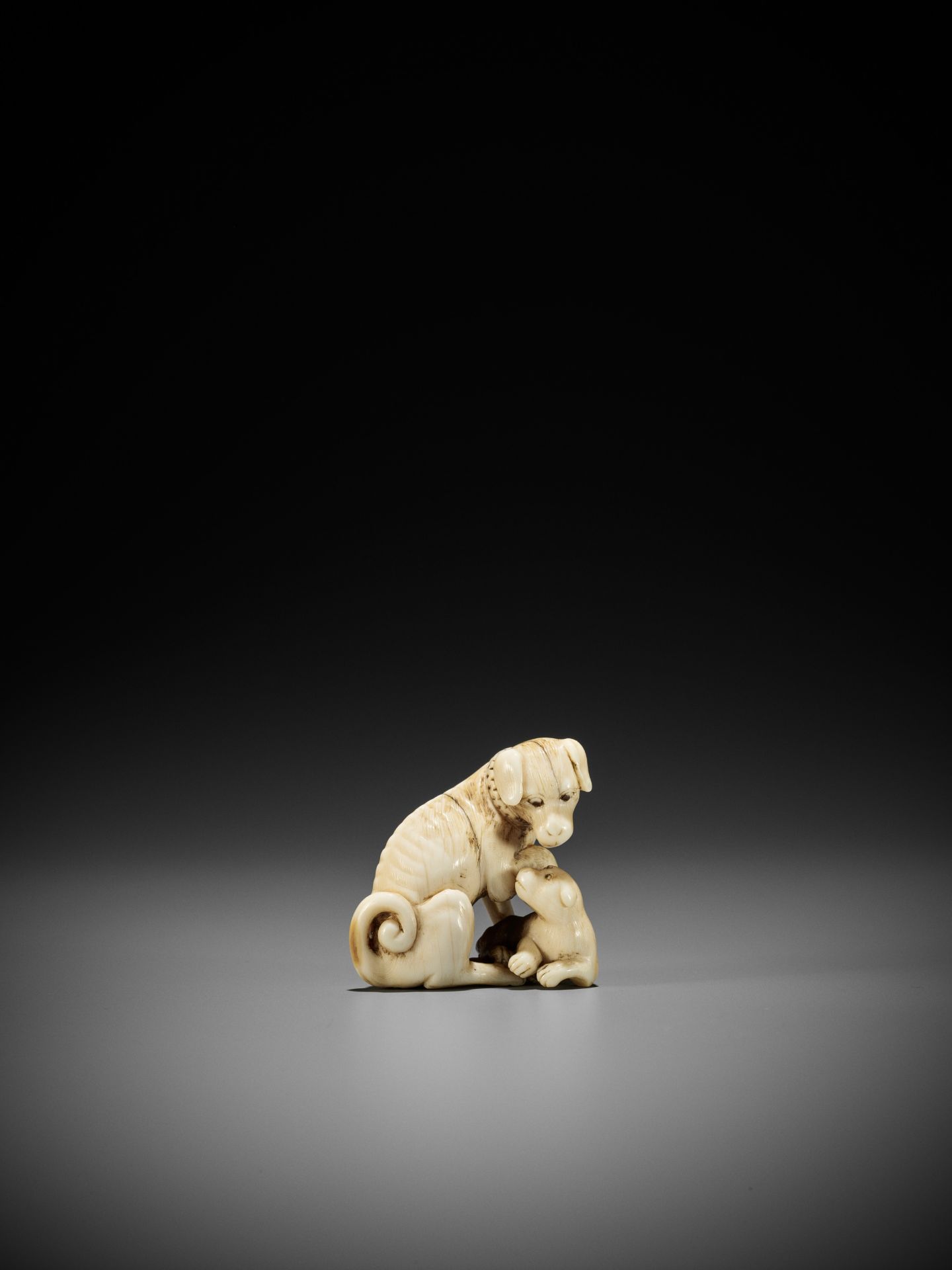 TOMOTADA: A FINE IVORY NETSUKE OF A BITCH AND PUP - Image 8 of 12