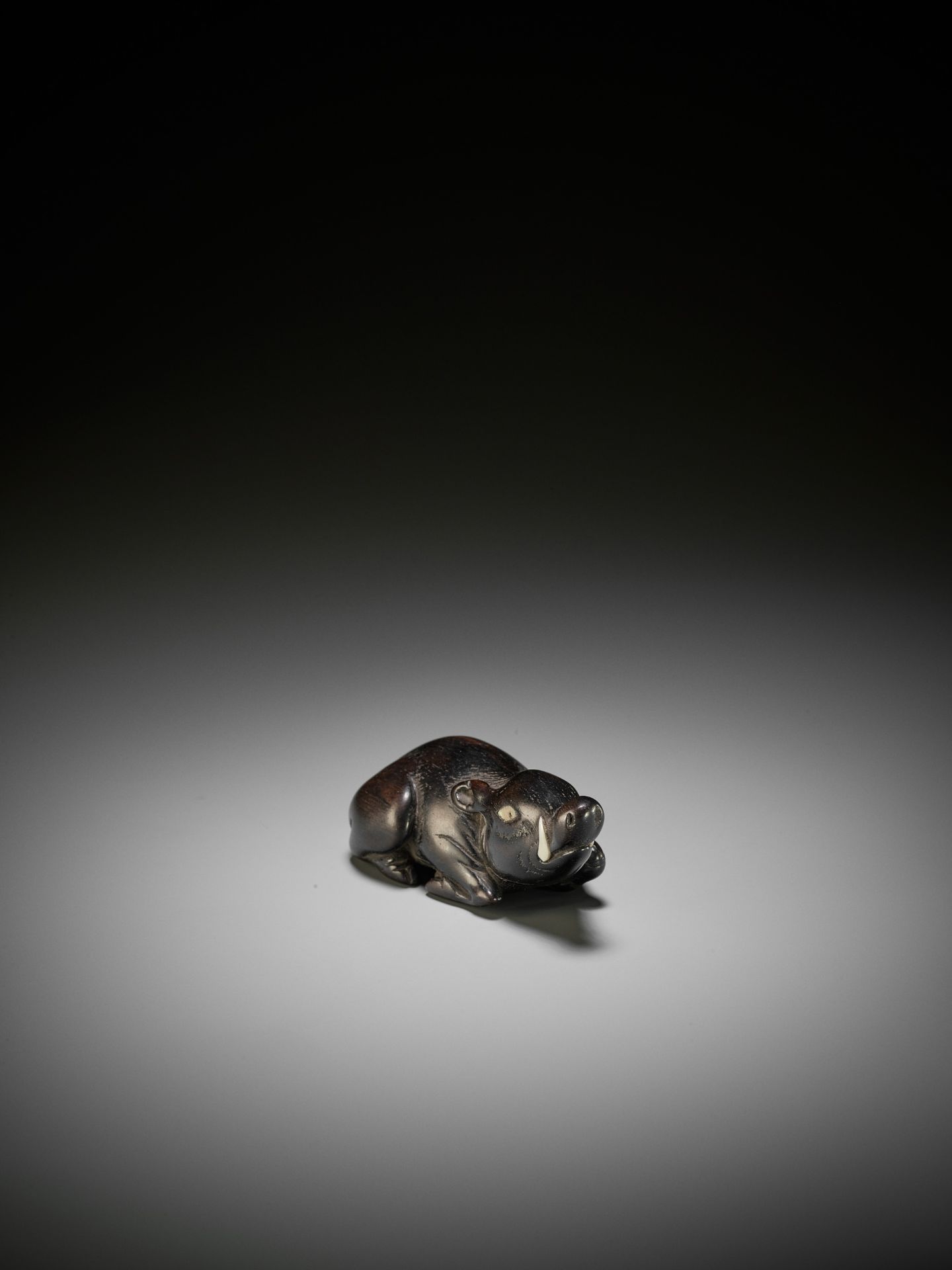A LARGE AND OLD DARK WOOD NETSUKE OF A RECUMBENT BOAR - Image 5 of 9