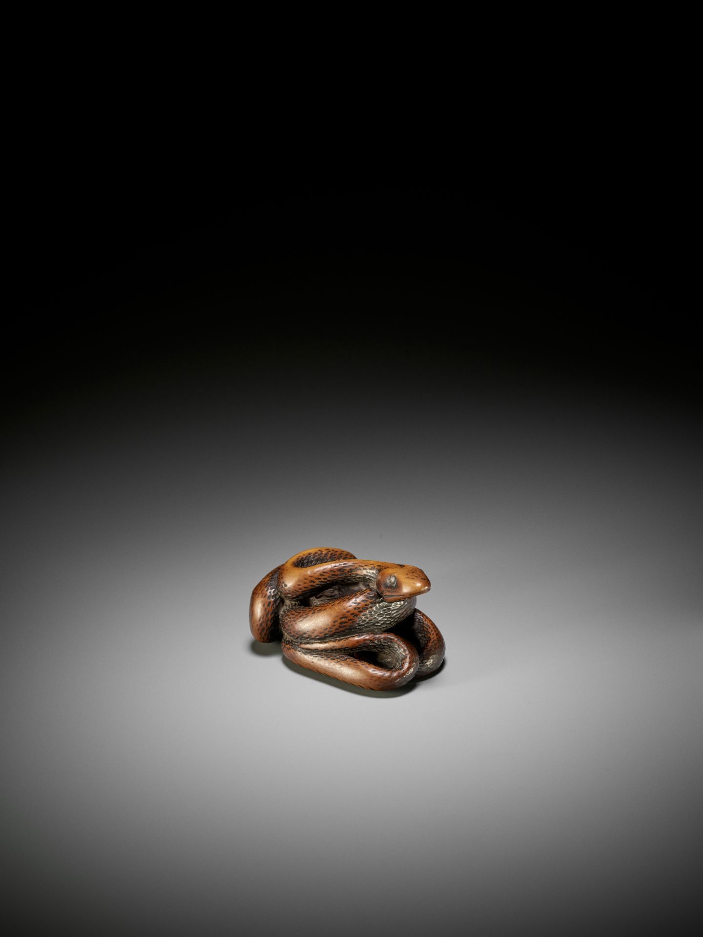 A LARGE AND POWERFUL WOOD NETSUKE OF A COILED SNAKE - Image 5 of 10