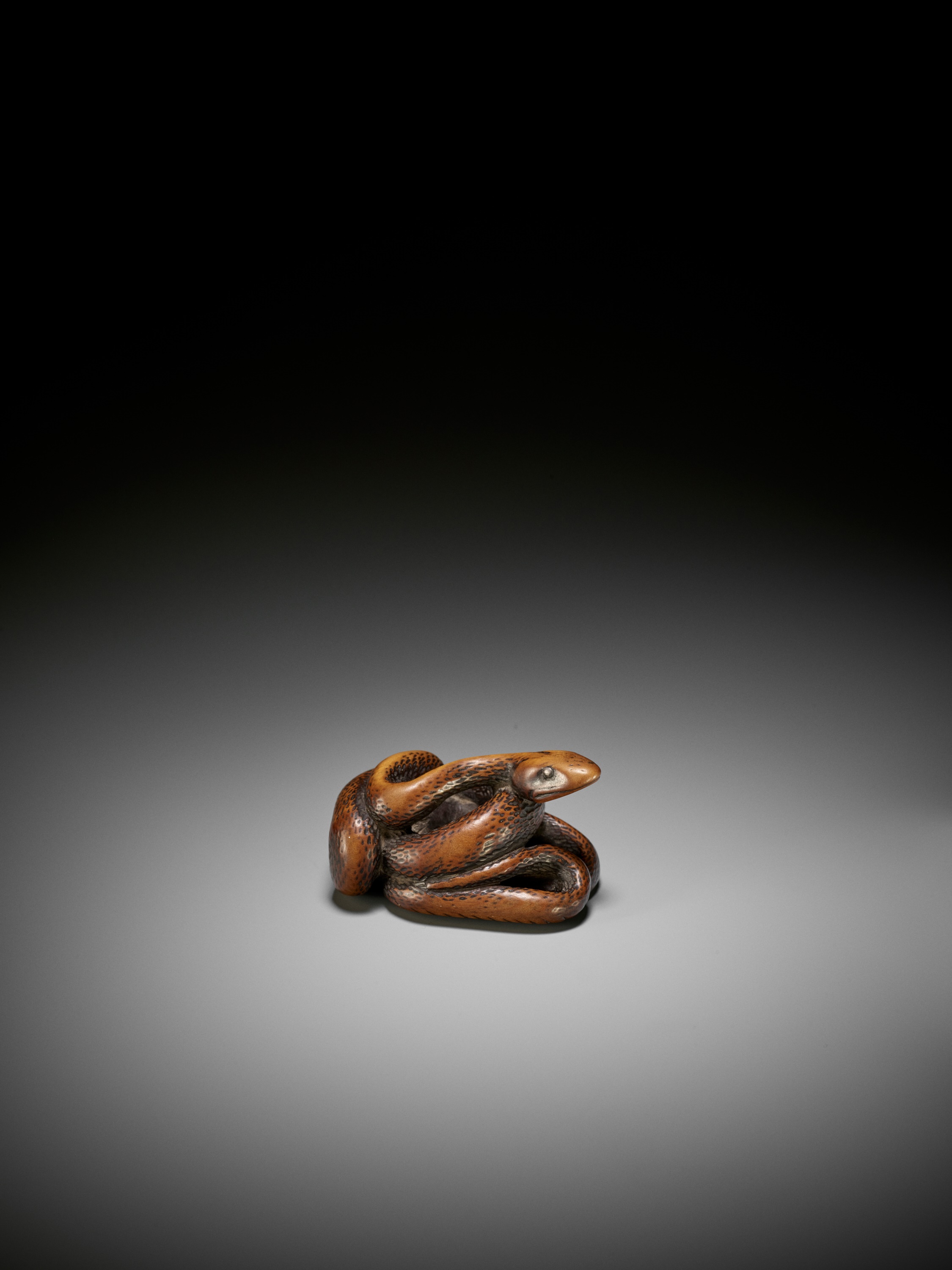 A LARGE AND POWERFUL WOOD NETSUKE OF A COILED SNAKE - Image 4 of 10