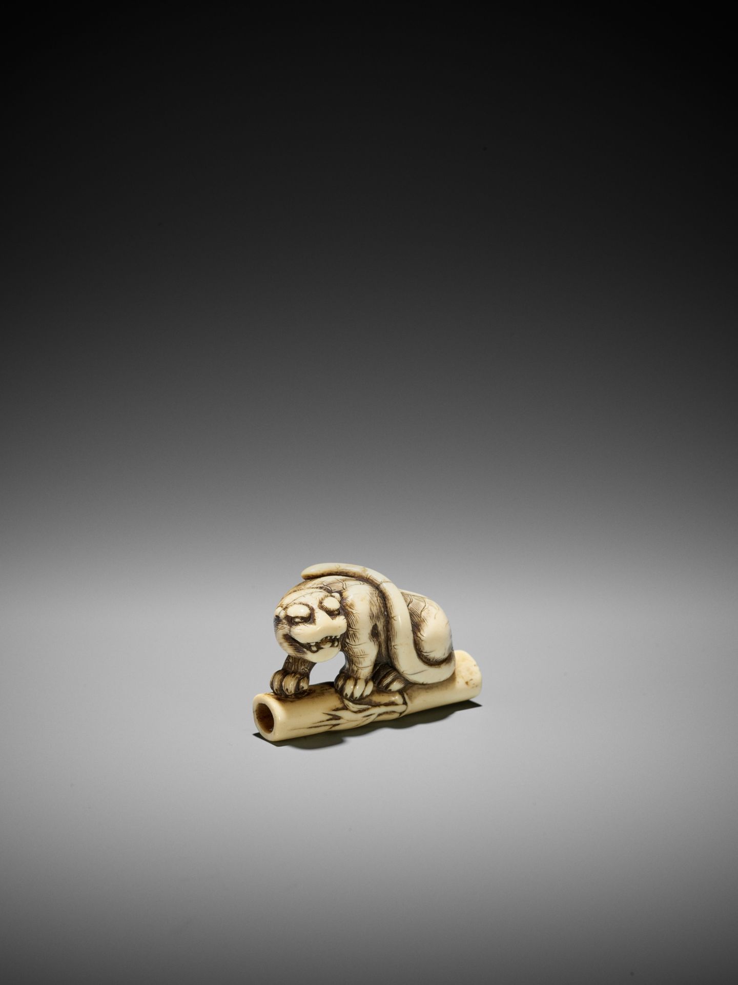 A POWERFUL KYOTO SCHOOL IVORY NETSUKE OF A TIGER ON BAMBOO - Image 6 of 13
