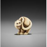 OTOMAN: A SUPERB IVORY NETSUKE OF A TIGER