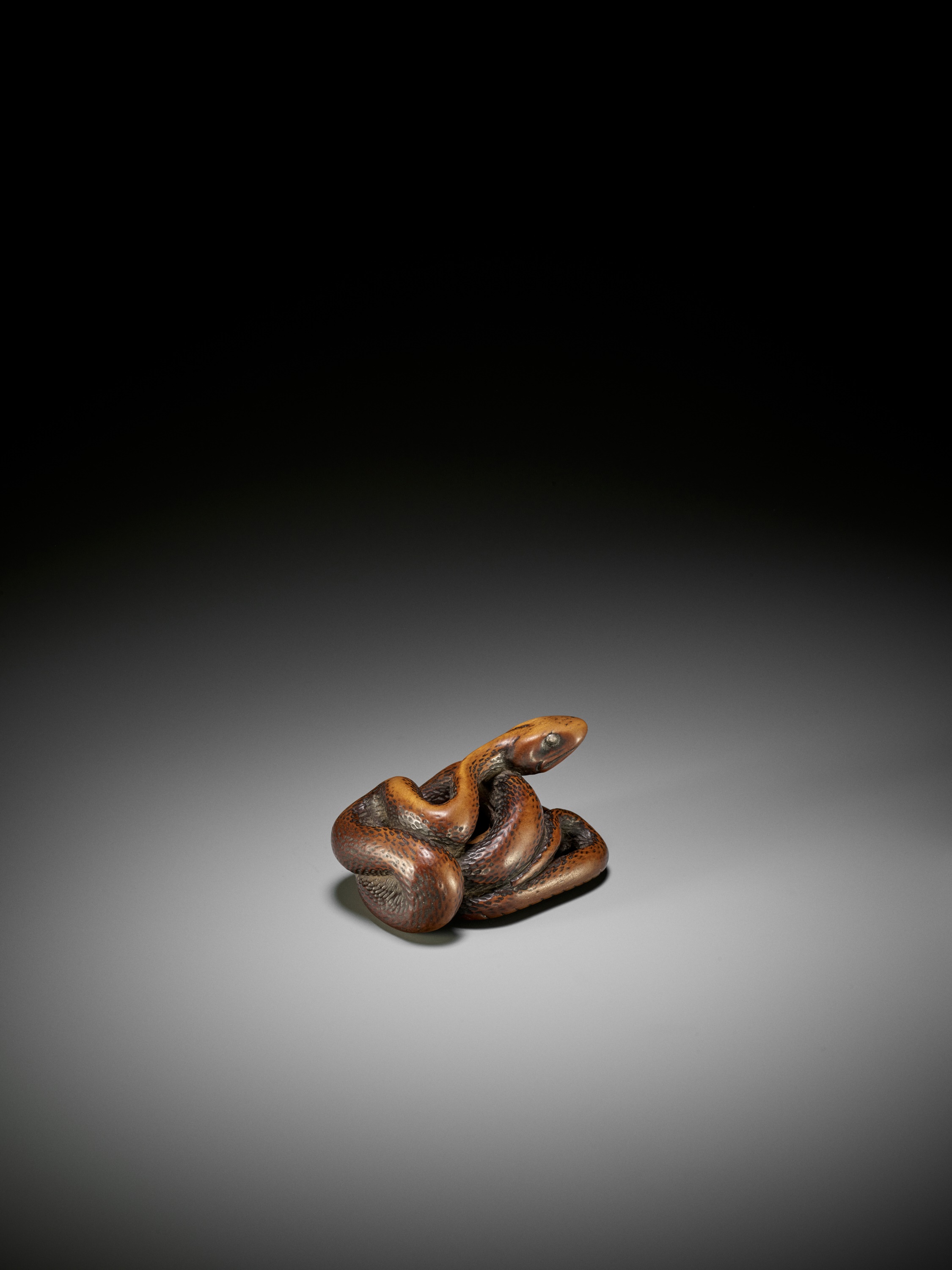 A LARGE AND POWERFUL WOOD NETSUKE OF A COILED SNAKE - Image 3 of 10