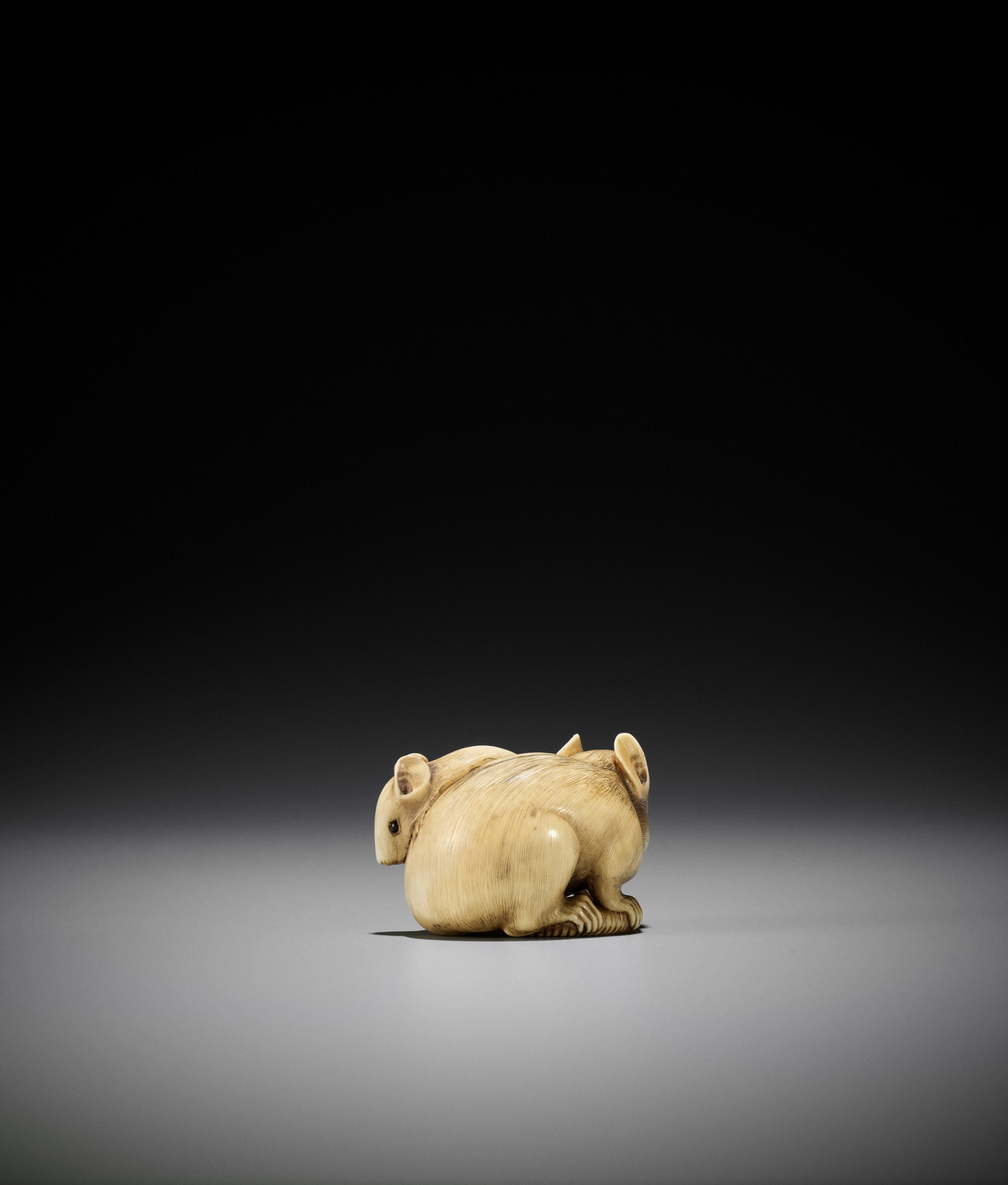 A POWERFUL AND LARGE KYOTO SCHOOL IVORY NETSUKE OF A RAT AND YOUNG - Image 8 of 11
