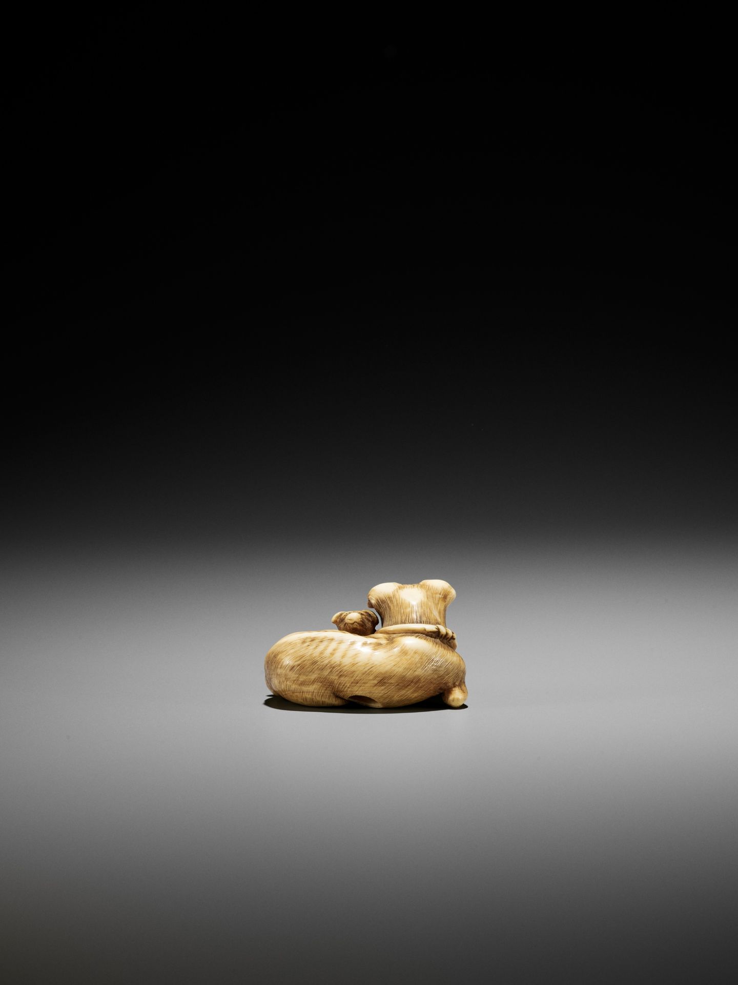 A SUPERB IVORY NETSUKE OF A FEMALE DOG WITH YOUNG, ATTRIBUTED TO OKATOMO - Image 9 of 13