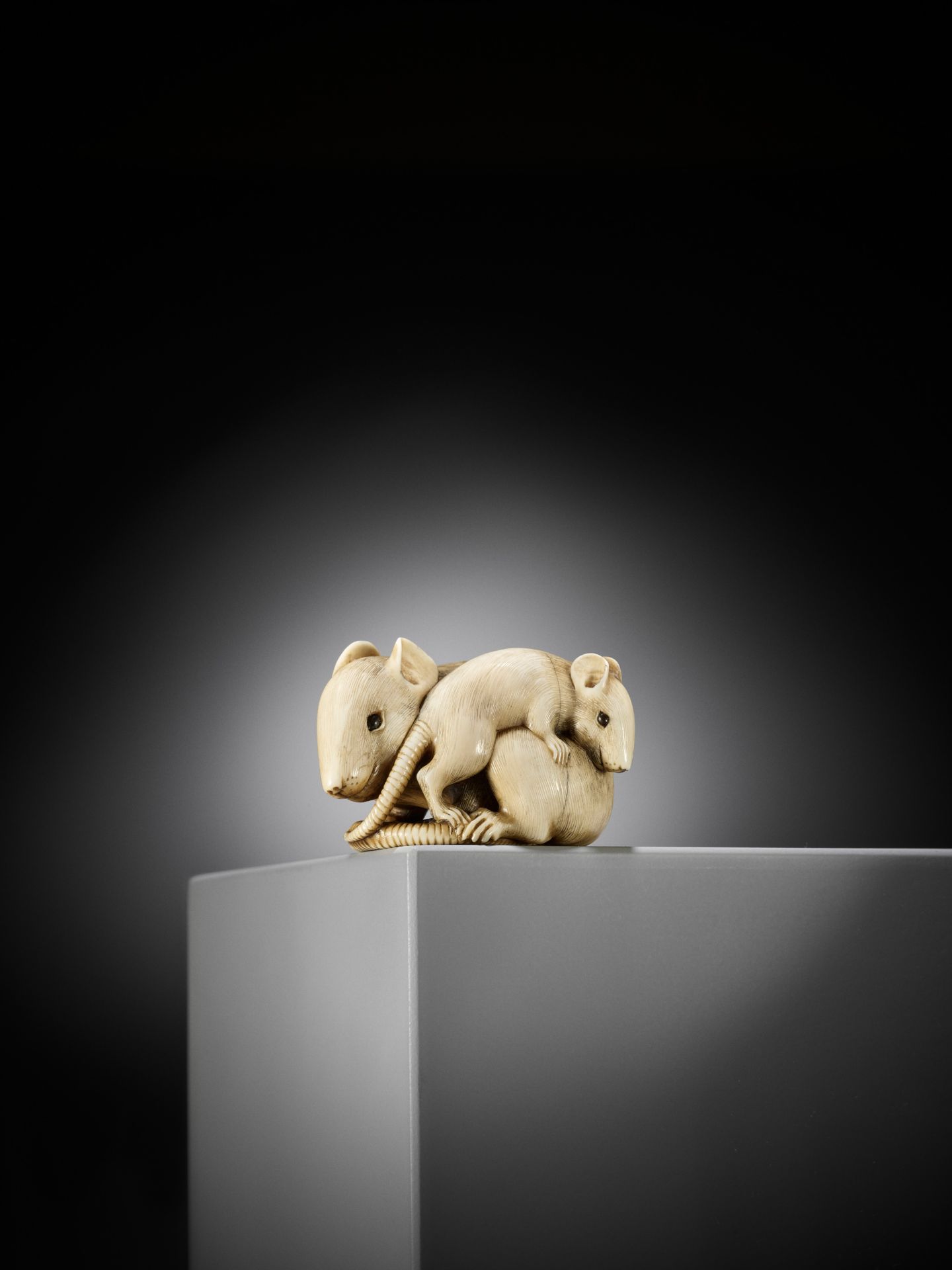 A POWERFUL AND LARGE KYOTO SCHOOL IVORY NETSUKE OF A RAT AND YOUNG - Image 2 of 11