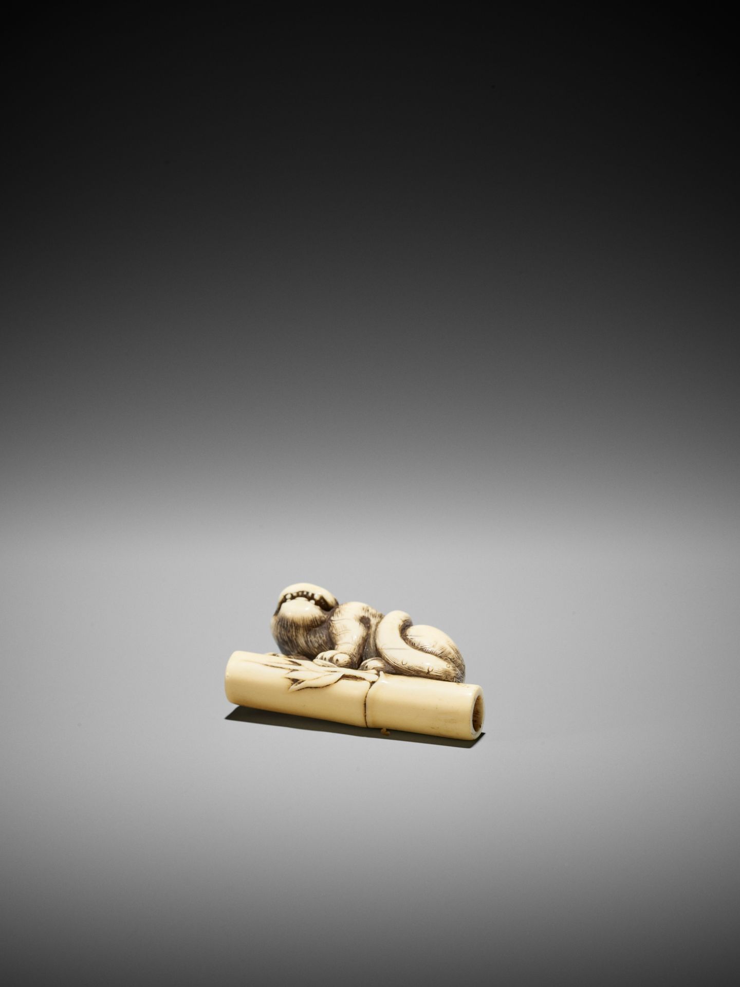 A POWERFUL KYOTO SCHOOL IVORY NETSUKE OF A TIGER ON BAMBOO - Image 10 of 13