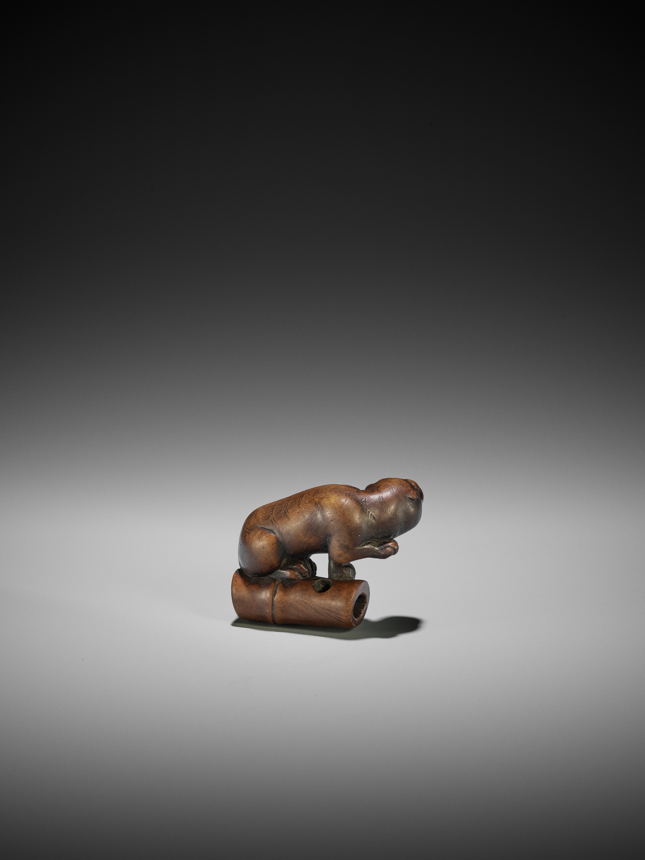 A FINE KYOTO SCHOOL WOOD NETSUKE OF A TIGER ON BAMBOO - Image 7 of 10