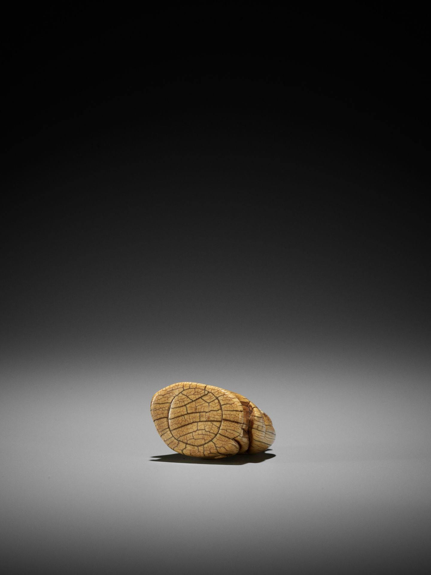 A RARE AND EARLY IVORY NETSUKE OF KARITEIMO (HARITI) - Image 8 of 9