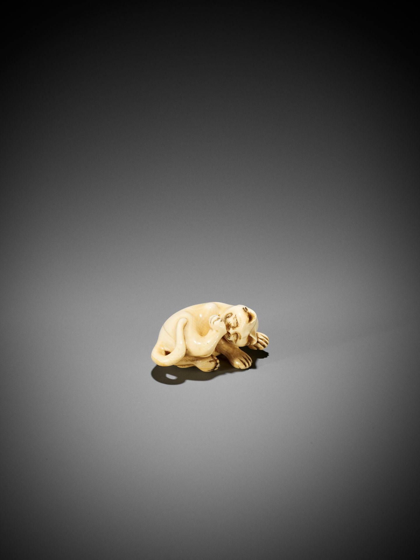 AN IVORY NETSUKE OF A CAT GROOMING ITSELF - Image 2 of 9