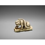 A POWERFUL KYOTO SCHOOL IVORY NETSUKE OF A TIGER ON BAMBOO