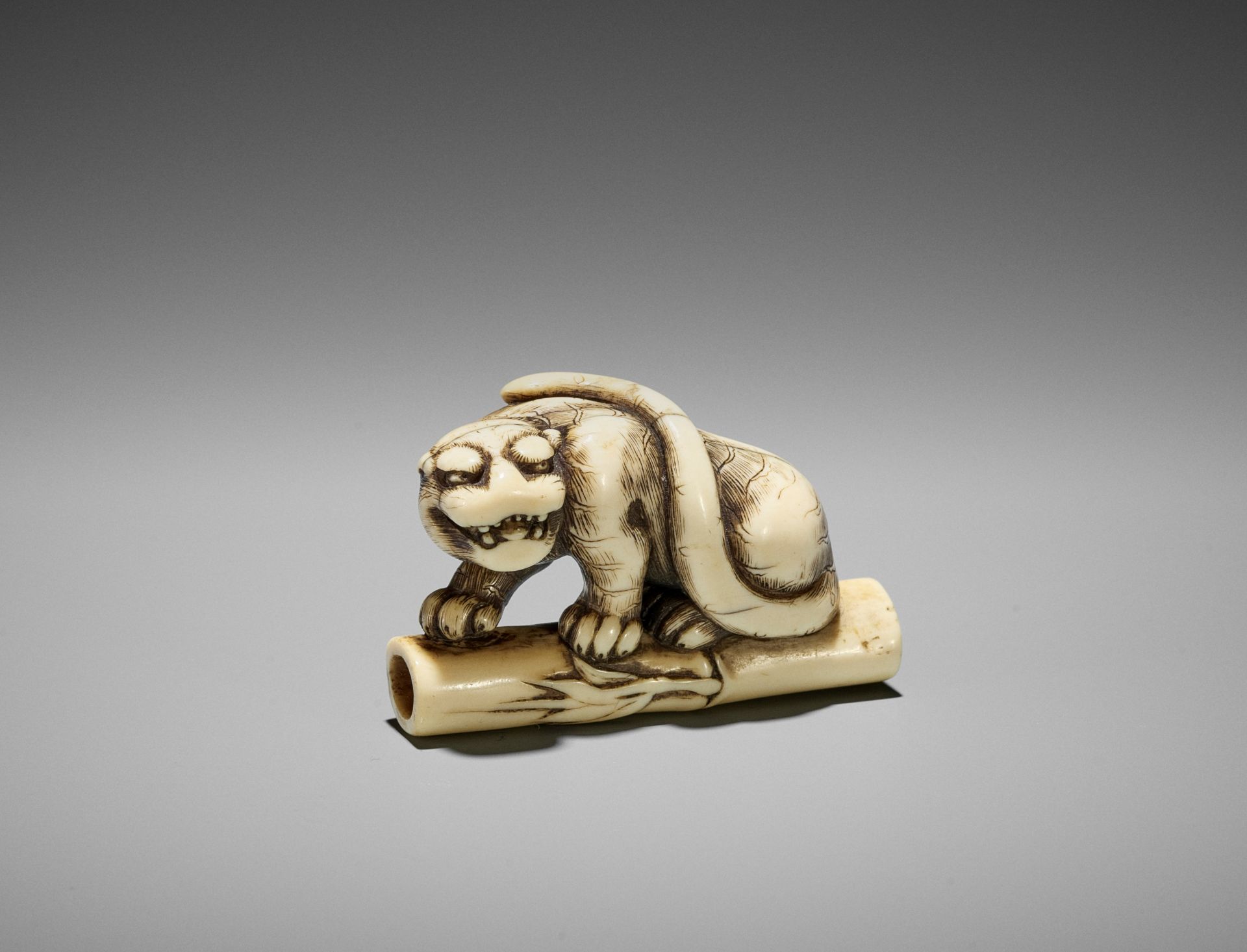 A POWERFUL KYOTO SCHOOL IVORY NETSUKE OF A TIGER ON BAMBOO