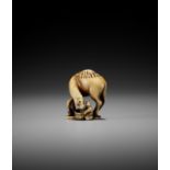 RANTEI: A RARE IVORY NETSUKE OF A DUTCHMAN FEEDING A DROMEDARY