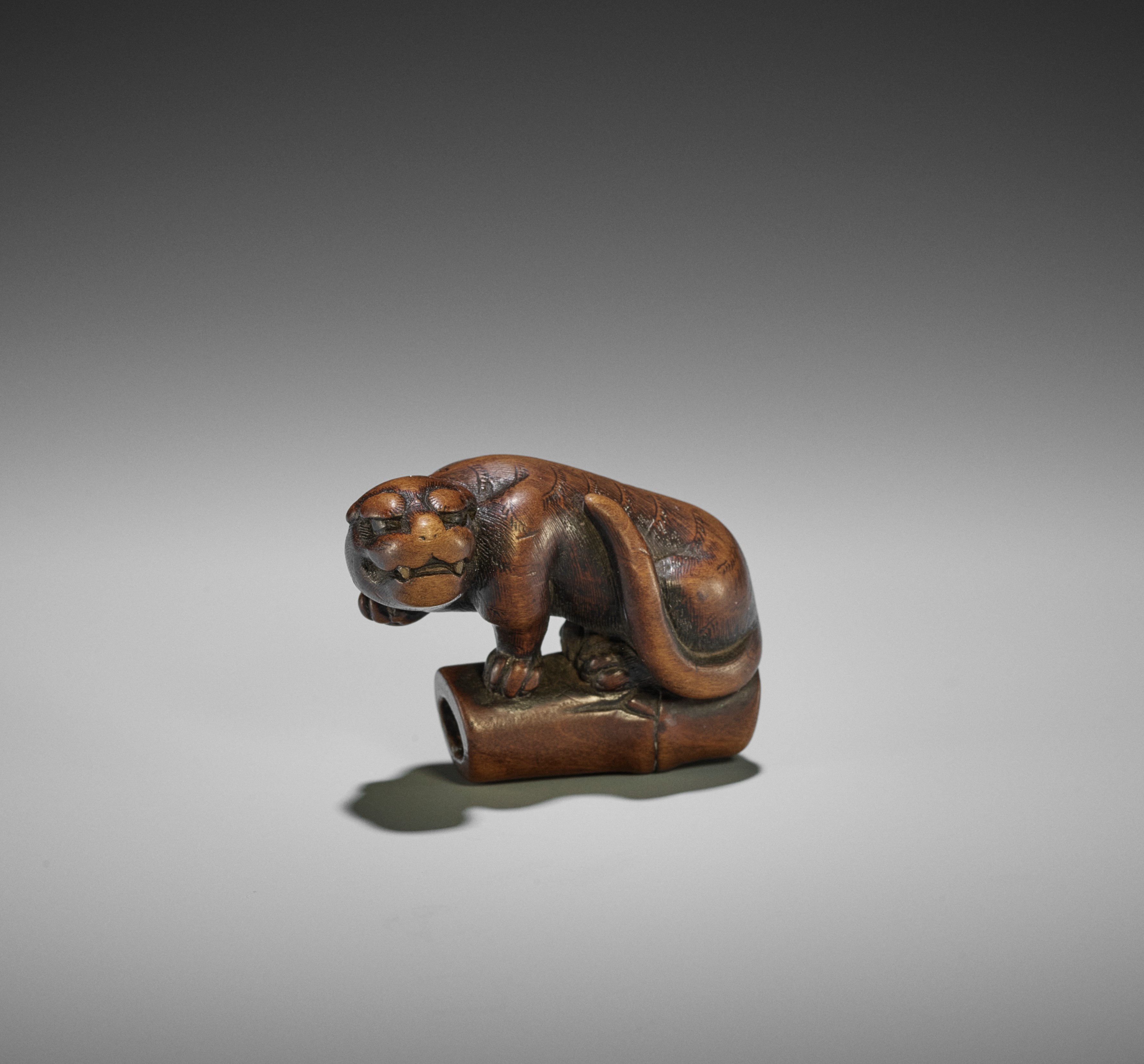 A FINE KYOTO SCHOOL WOOD NETSUKE OF A TIGER ON BAMBOO