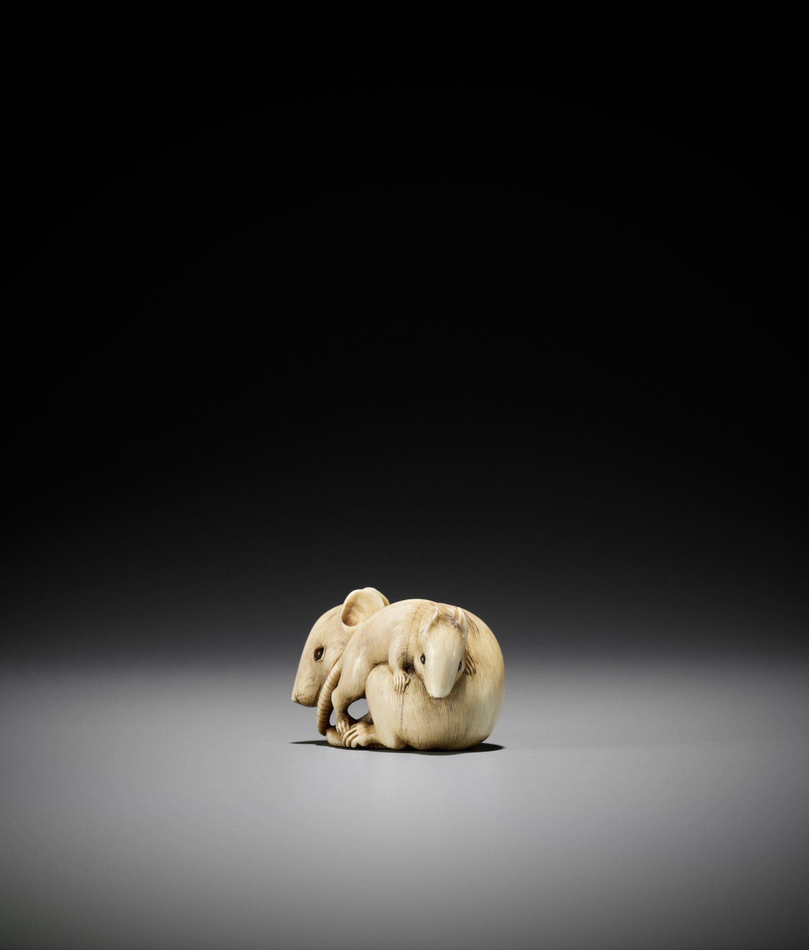 A POWERFUL AND LARGE KYOTO SCHOOL IVORY NETSUKE OF A RAT AND YOUNG - Image 7 of 11
