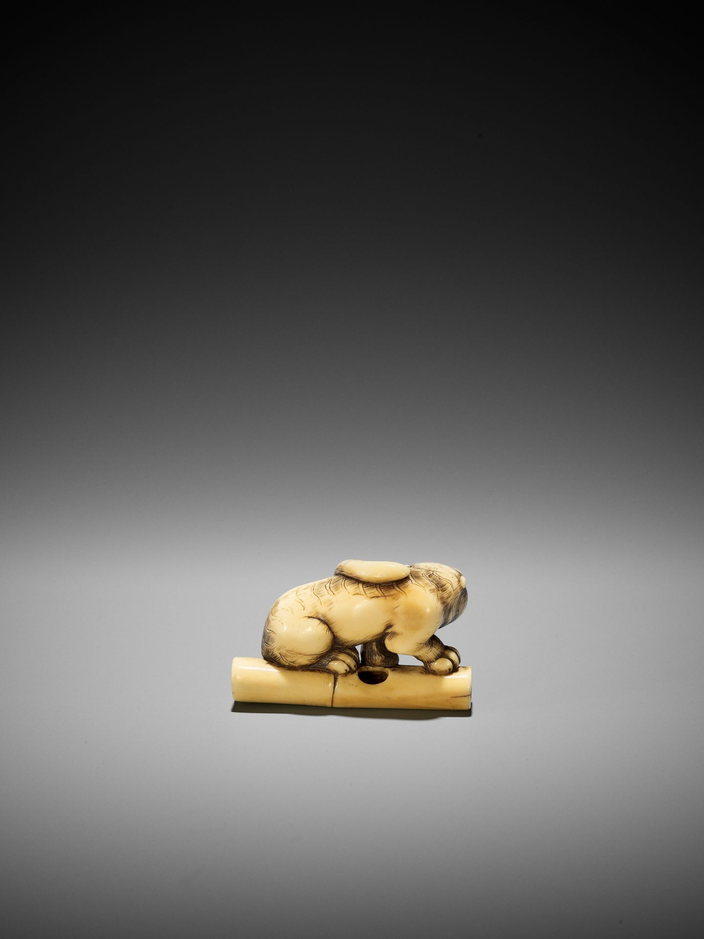 A POWERFUL KYOTO SCHOOL IVORY NETSUKE OF A TIGER ON BAMBOO - Image 3 of 13