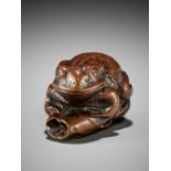 SHUCHIKU: A SUPERB WOOD NETSUKE OF A FAT TOAD ON LOTUS LEAF