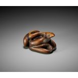 A LARGE AND POWERFUL WOOD NETSUKE OF A COILED SNAKE