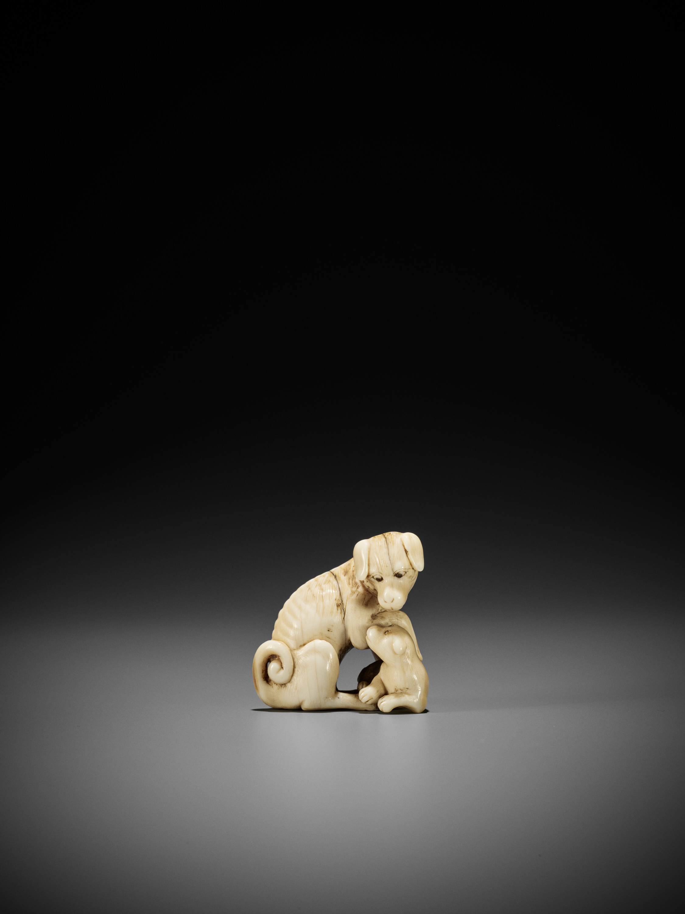 TOMOTADA: A FINE IVORY NETSUKE OF A BITCH AND PUP - Image 3 of 12