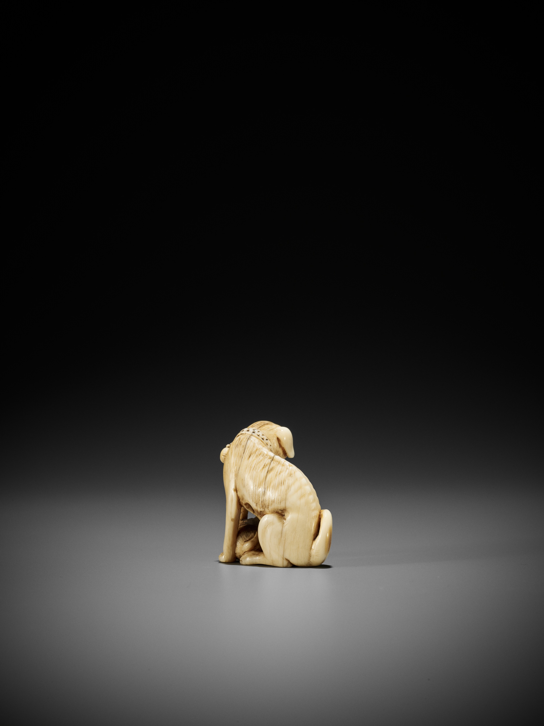 TOMOTADA: A FINE IVORY NETSUKE OF A BITCH AND PUP - Image 5 of 12