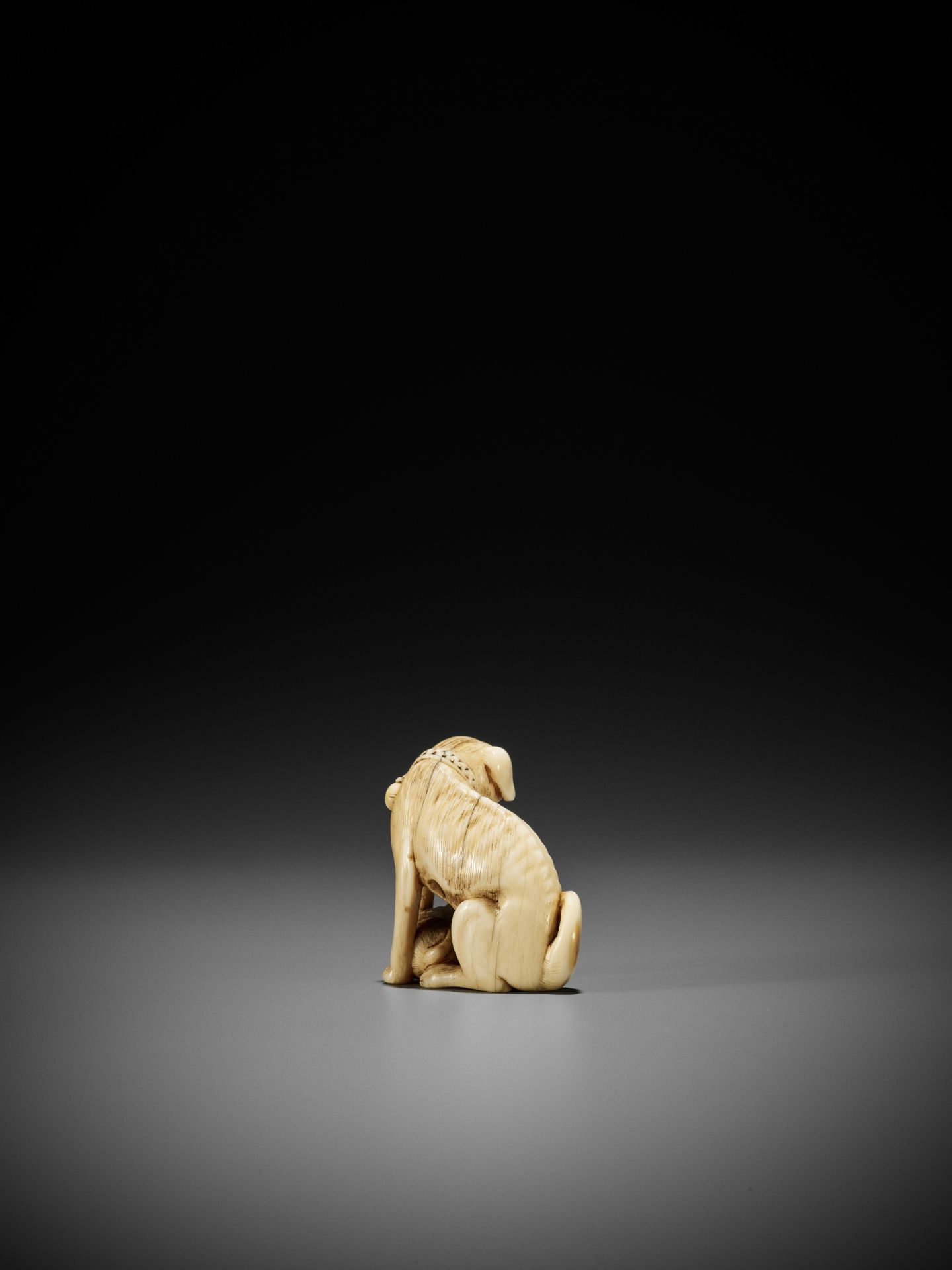 TOMOTADA: A FINE IVORY NETSUKE OF A BITCH AND PUP - Image 5 of 12