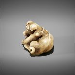 A SUPERB IVORY NETSUKE OF A FEMALE DOG WITH YOUNG, ATTRIBUTED TO OKATOMO