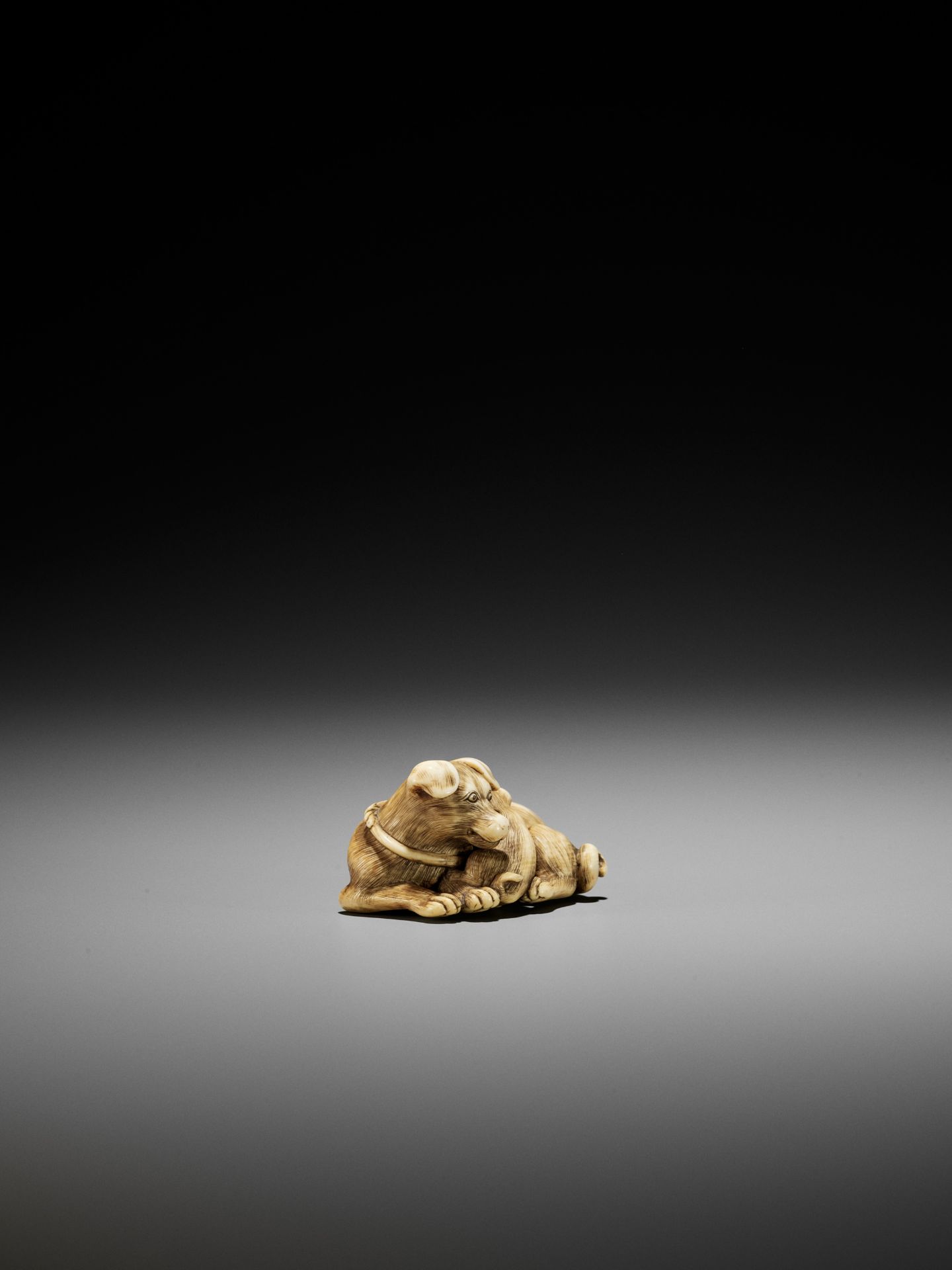 A SUPERB IVORY NETSUKE OF A FEMALE DOG WITH YOUNG, ATTRIBUTED TO OKATOMO - Image 10 of 13