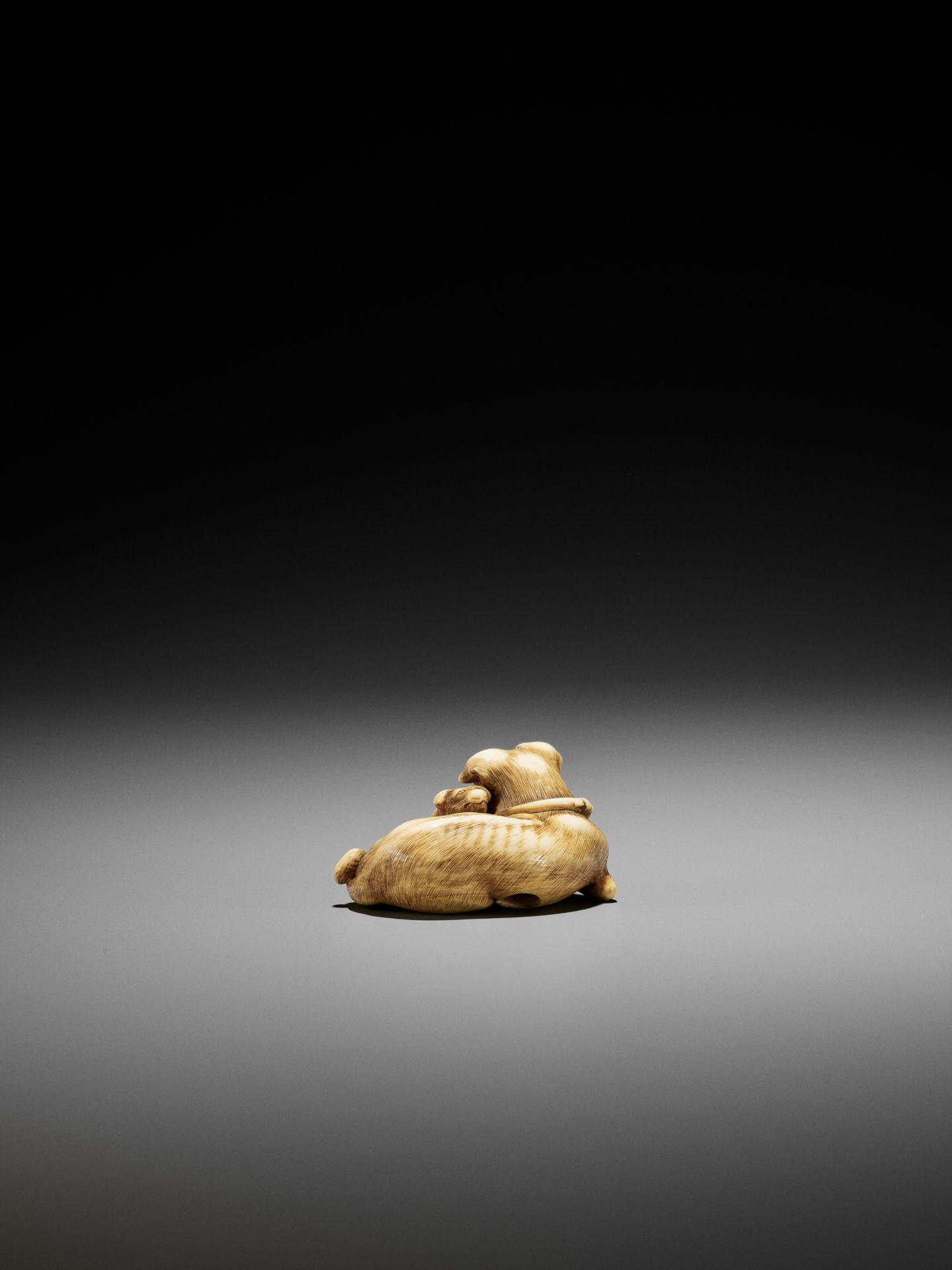 A SUPERB IVORY NETSUKE OF A FEMALE DOG WITH YOUNG, ATTRIBUTED TO OKATOMO - Image 8 of 13