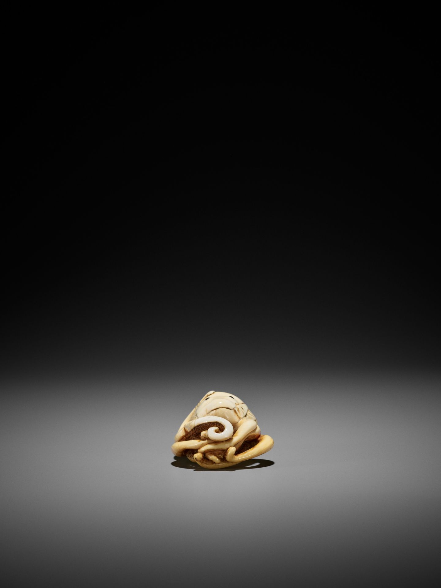 A GOOD IVORY NETSUKE OF AN OCTOPUS - Image 8 of 9