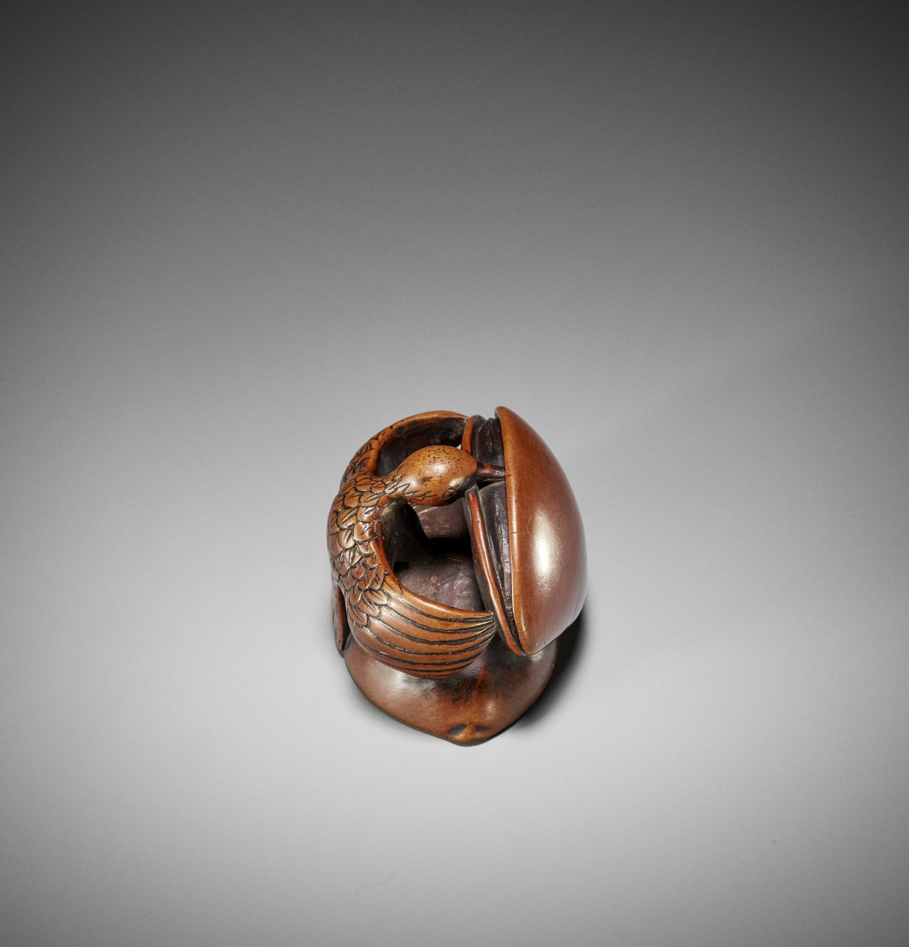 AN UNUSUAL WOOD NETSUKE OF A HAWK WITH AWABI AND HAMAGURI