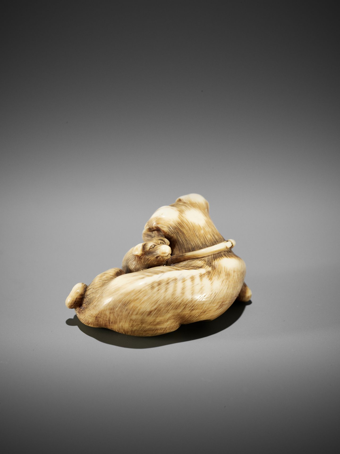A SUPERB IVORY NETSUKE OF A FEMALE DOG WITH YOUNG, ATTRIBUTED TO OKATOMO - Image 6 of 13