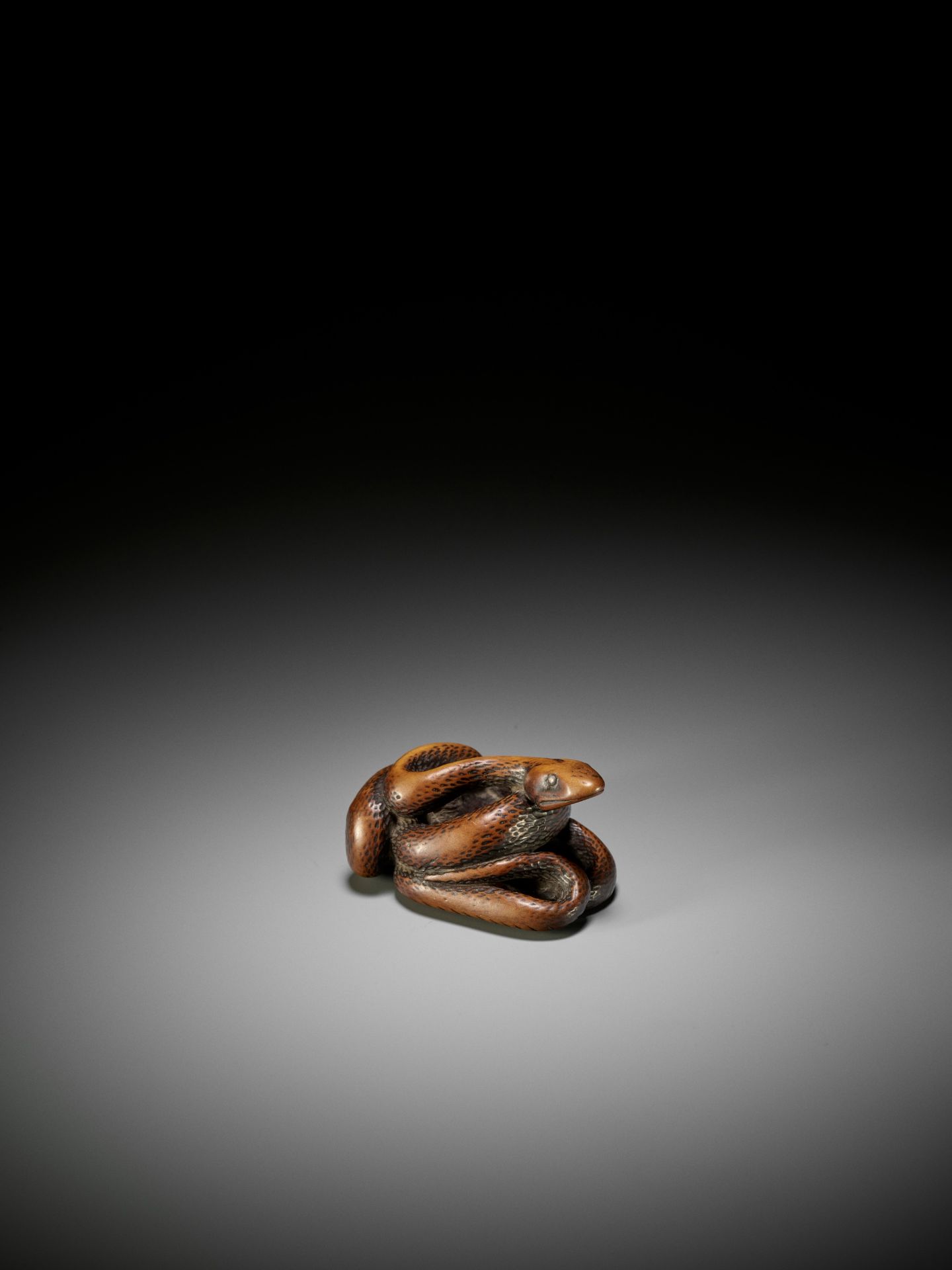 A LARGE AND POWERFUL WOOD NETSUKE OF A COILED SNAKE - Image 2 of 10