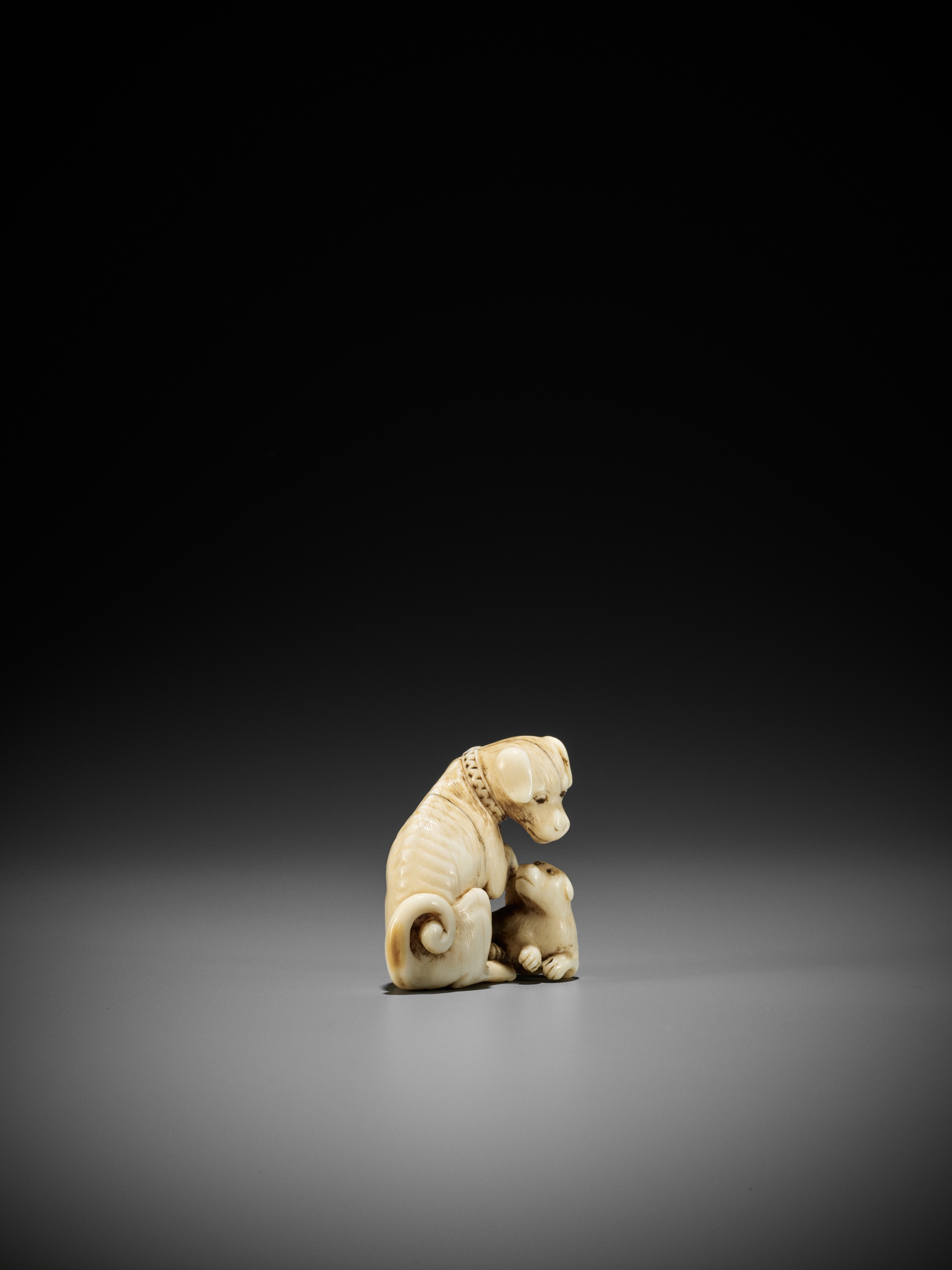 TOMOTADA: A FINE IVORY NETSUKE OF A BITCH AND PUP - Image 7 of 12